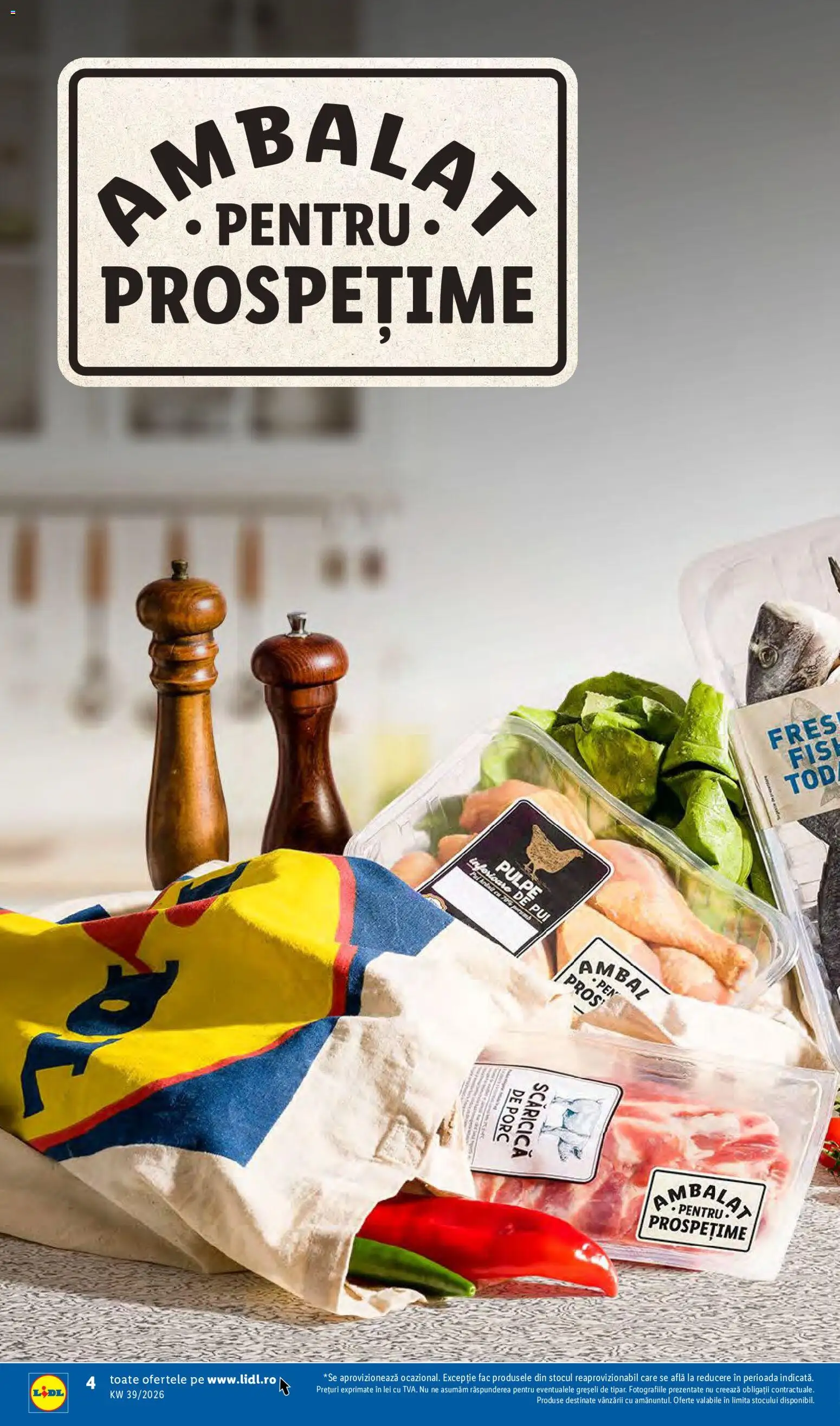 Lidl Catalog Catalog in România