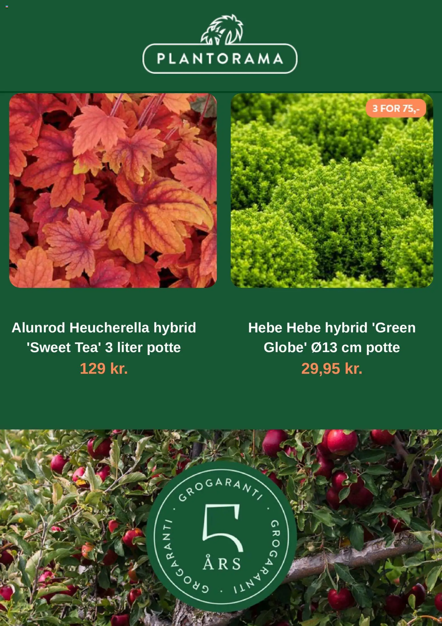 Plantorama - Tilbudsavis Tilbudsavis in Danmark