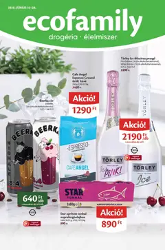 EcoFamily EcoFamily akciós újság