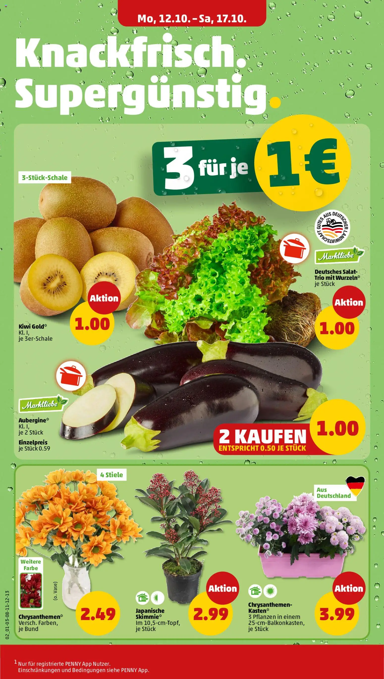 Penny Prospekt Prospekt in Deutschland