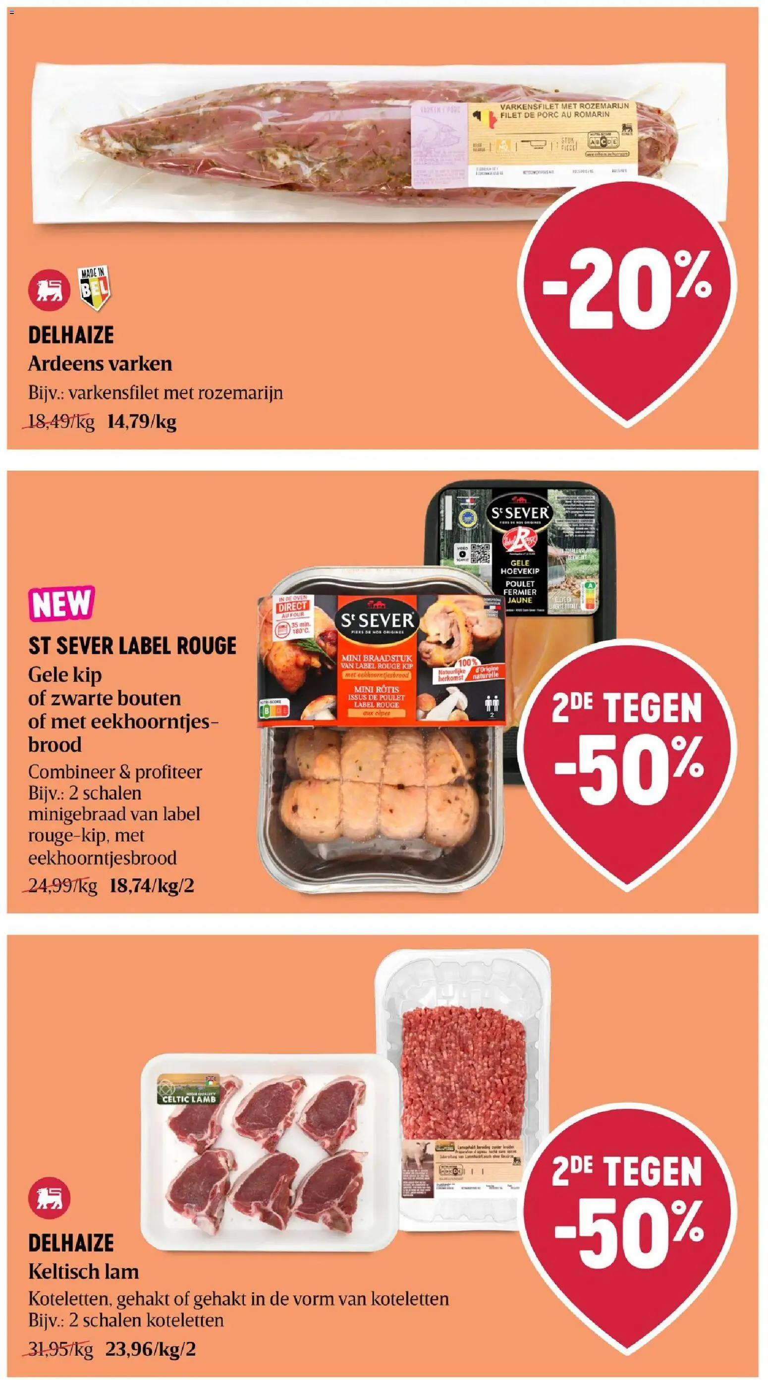 Delhaize folder Folder in België