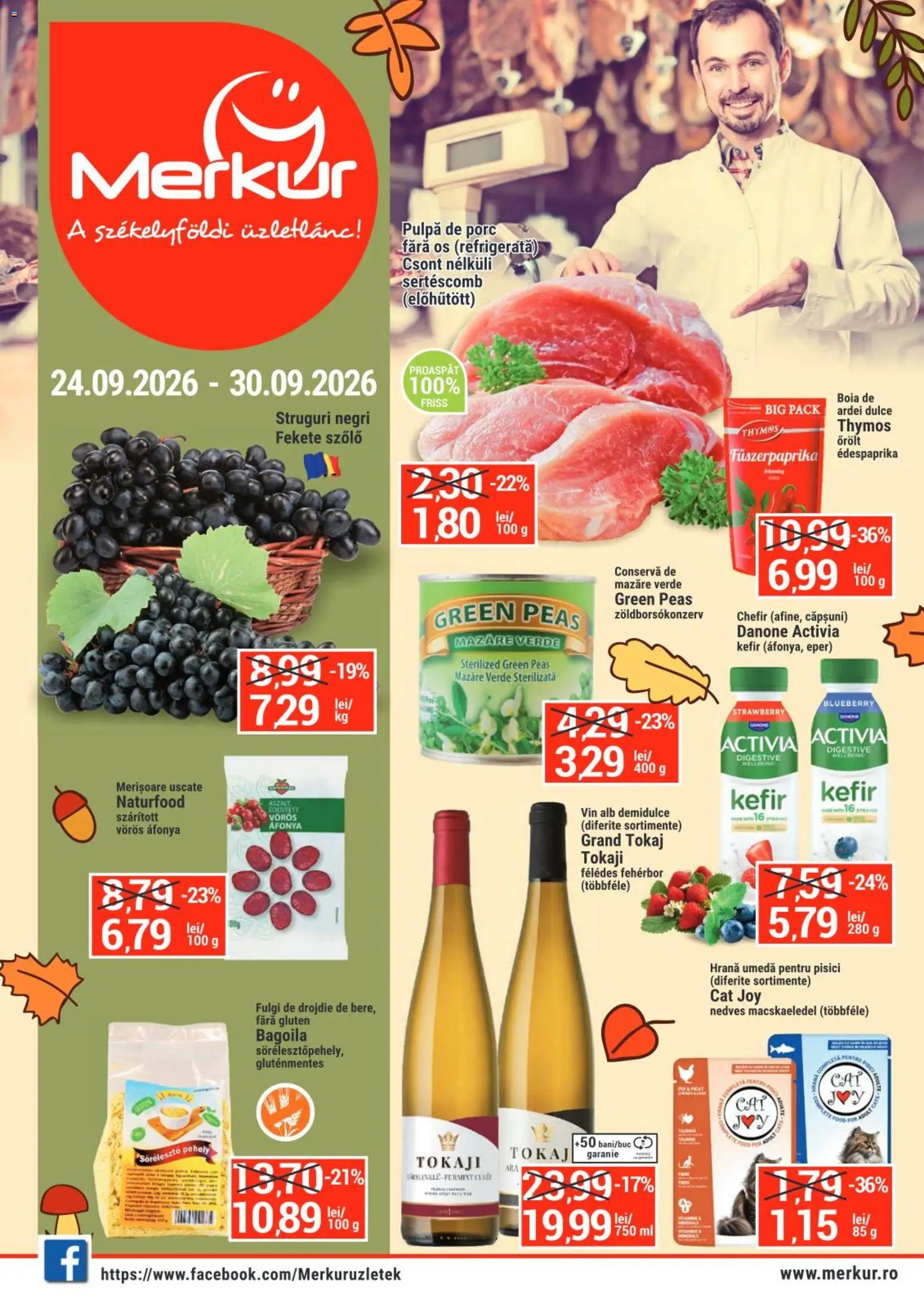 Merkur Catalog Catalog in România