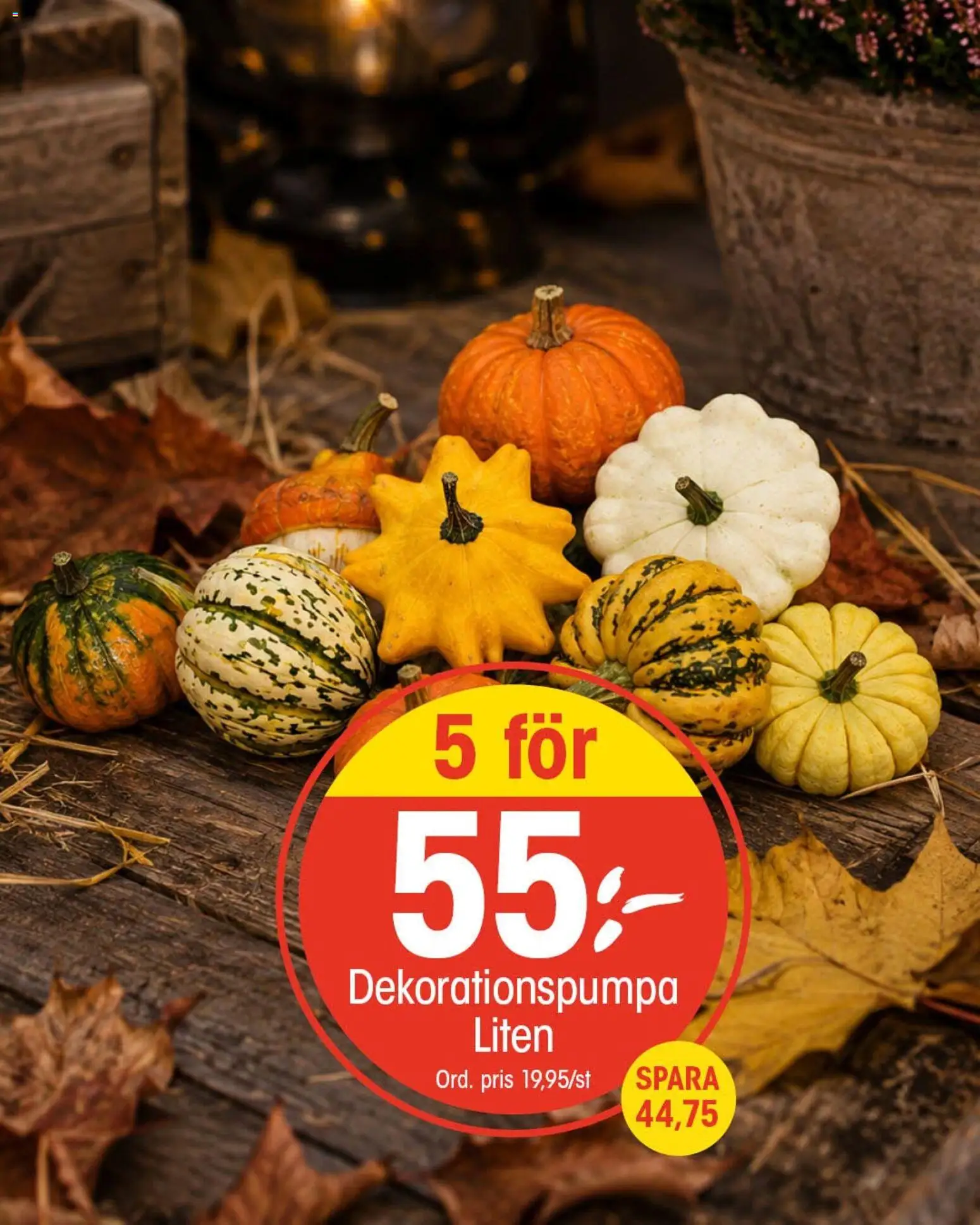EKO erbjudanden Reklamblad in Sverige