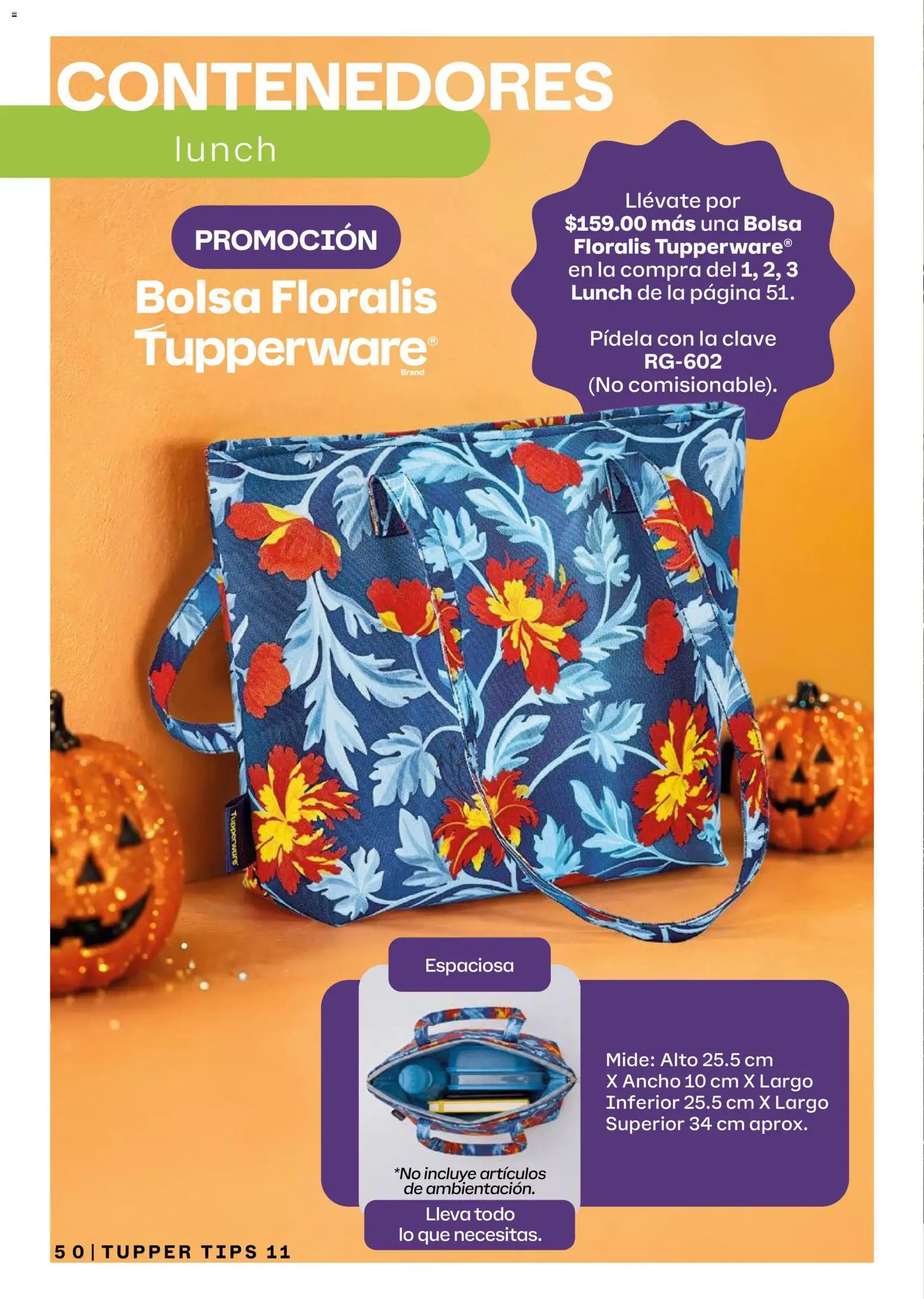 Tupperware catálogo Folleto in México