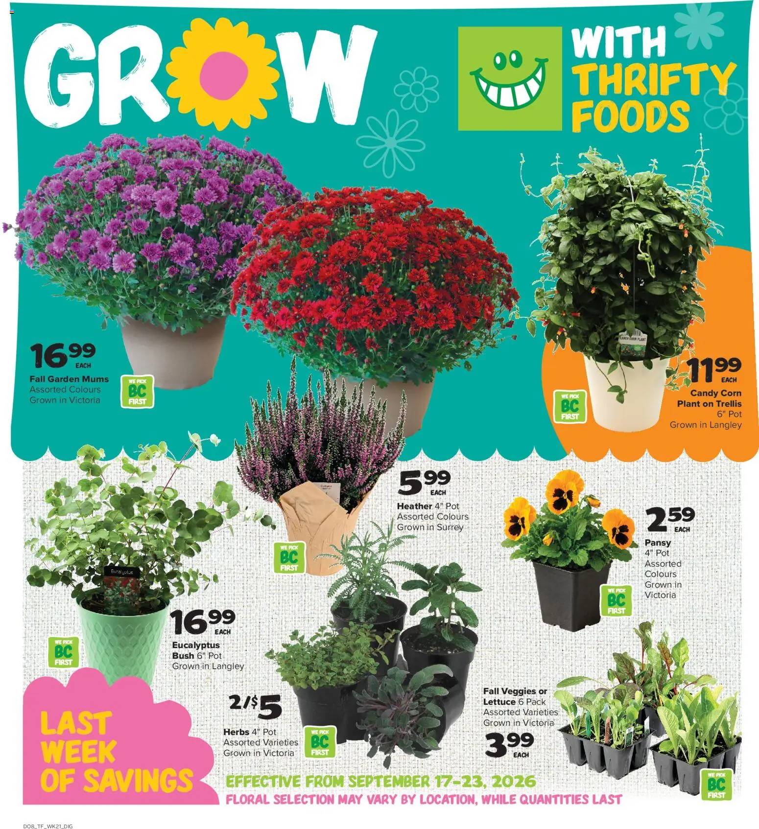 Thrifty Foods weekly flyer / circulaire Flyer in Canada