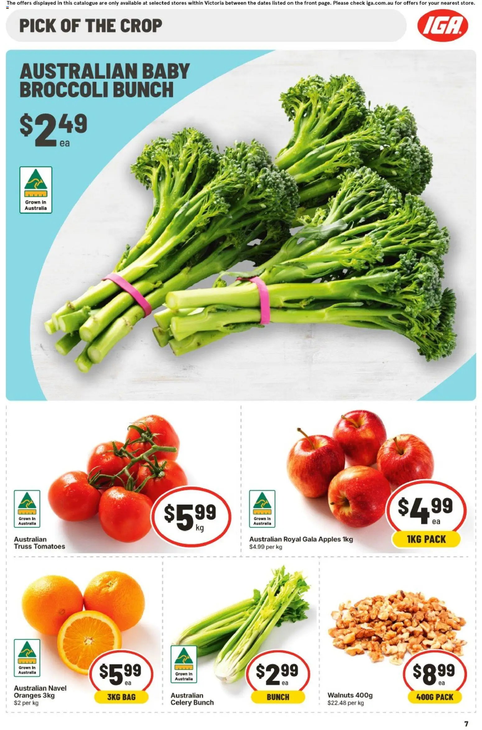 IGA catalogue Catalogue in Australia