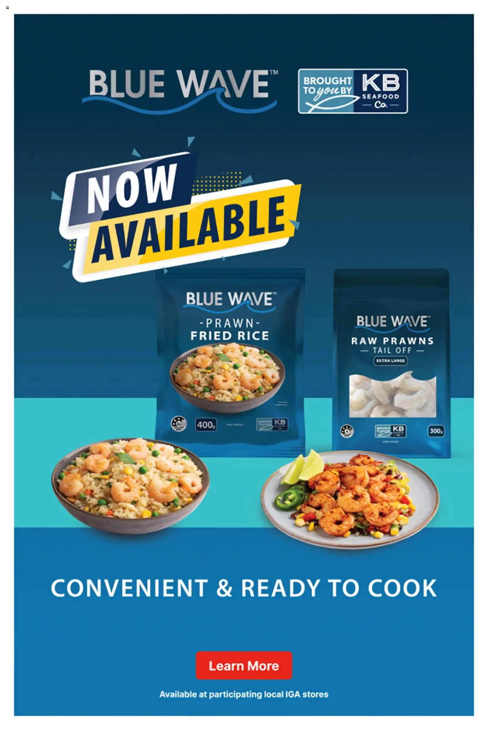 IGA catalogue Catalogue in Australia