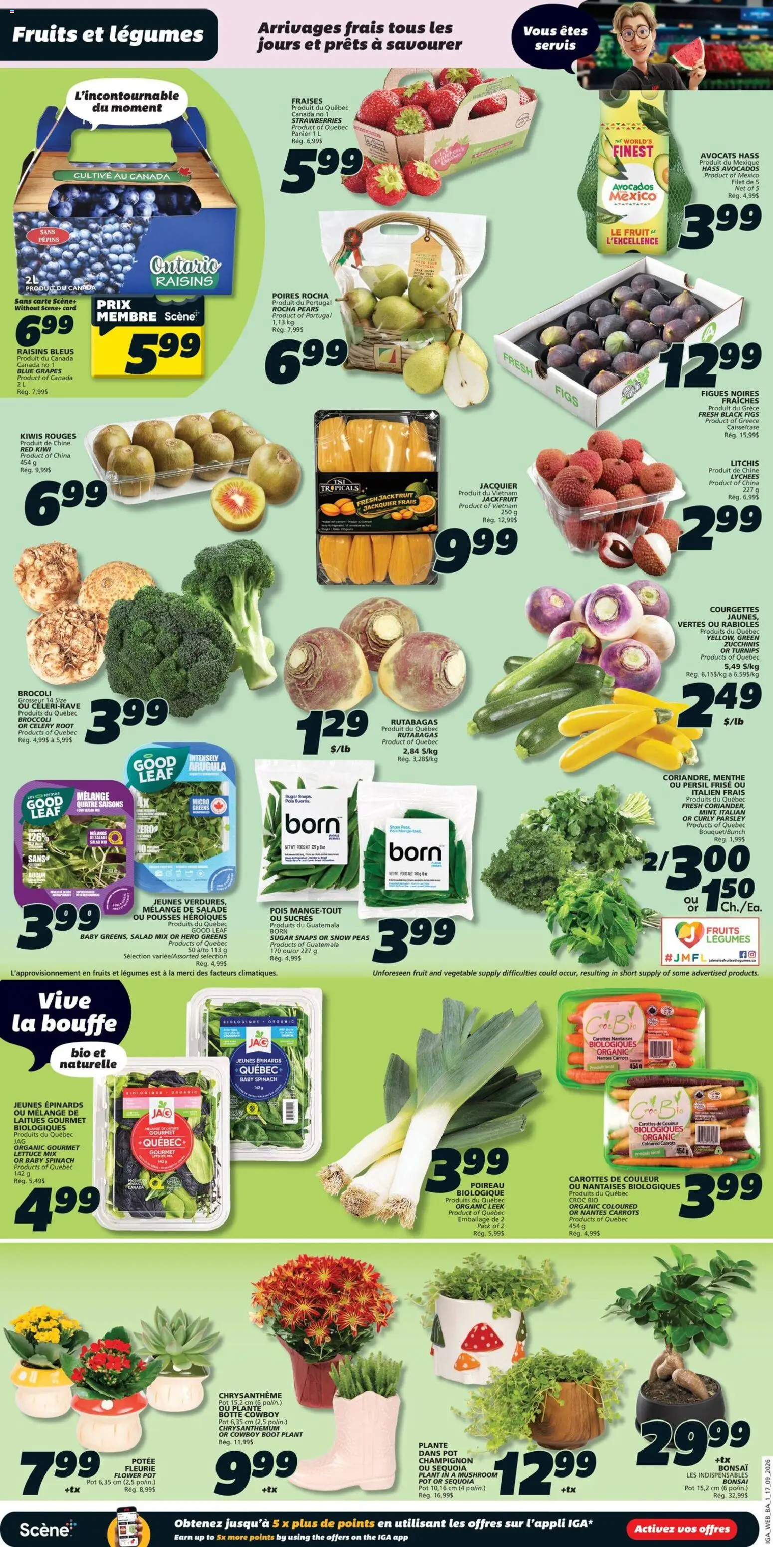 IGA weekly flyer / circulaire Flyer in Canada