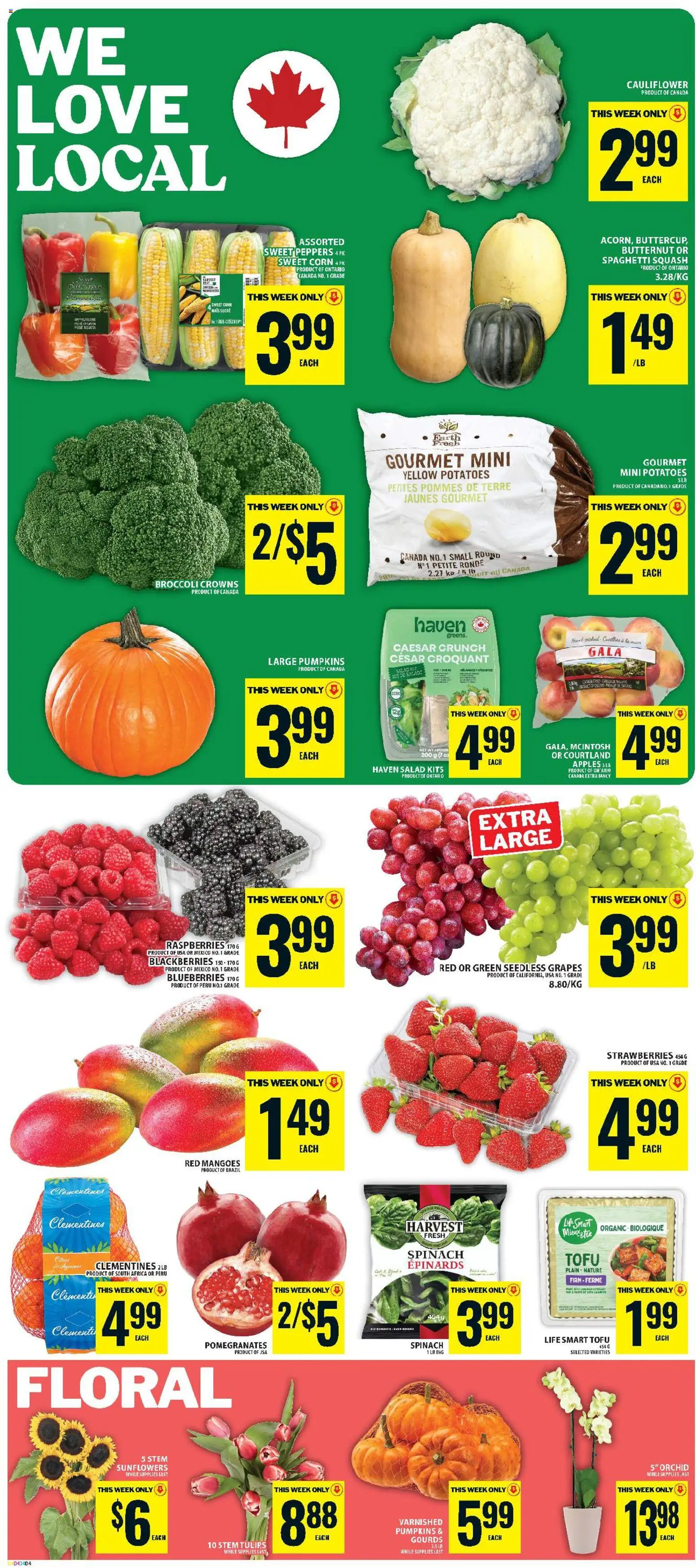 Food Basics weekly flyer / circulaire Flyer in Canada