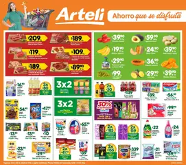 Arteli Arteli folleto