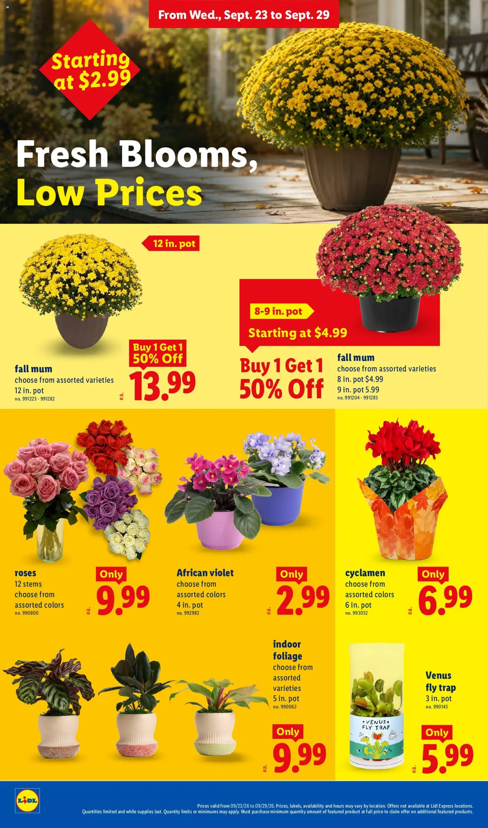 Lidl Weekly Ad Weekly Ad in United States