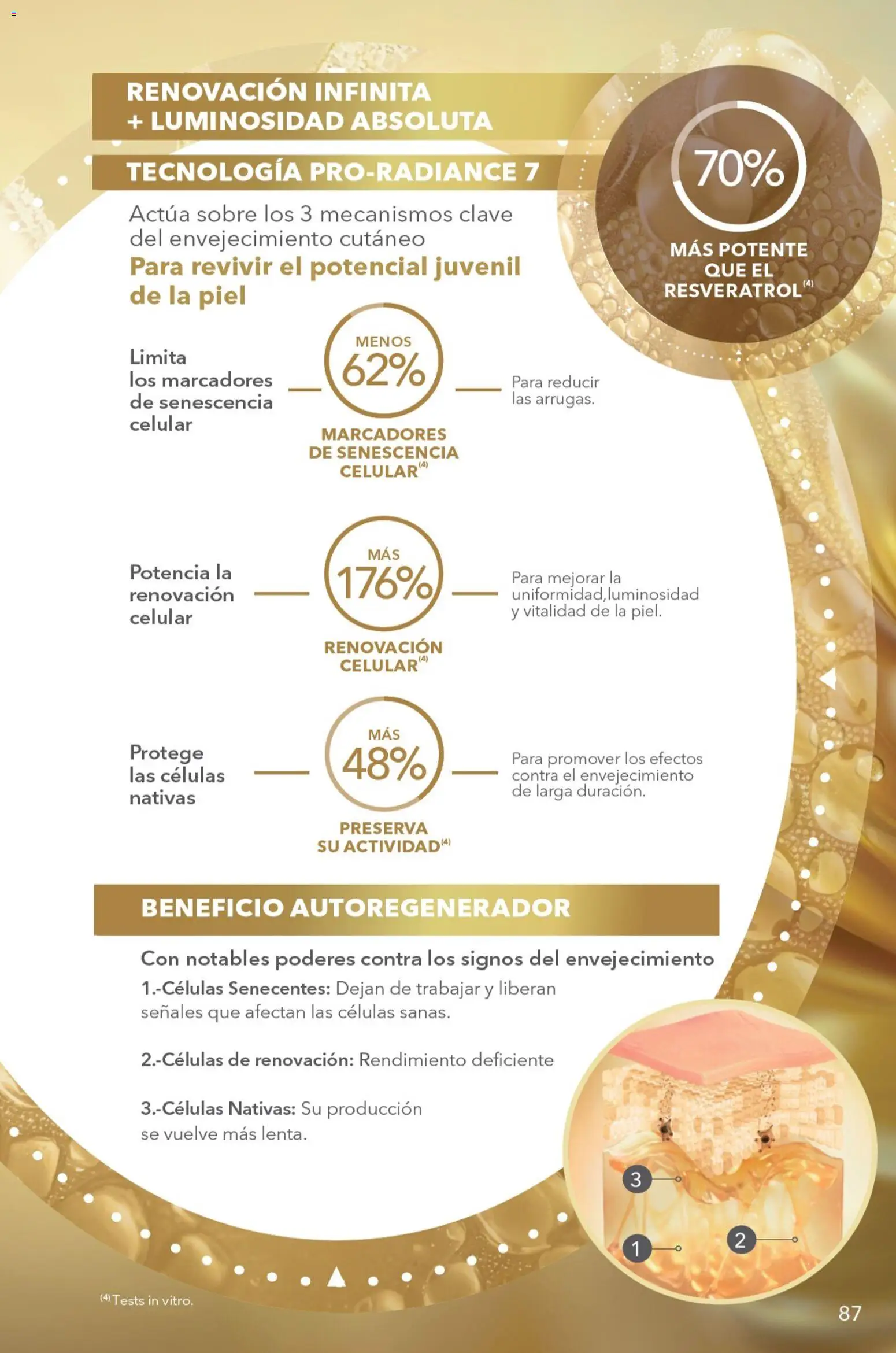 ¡El último » catálogo de Yves Rocher para Julio « está aquí! Descubre las SUPER OFERTAS. | México