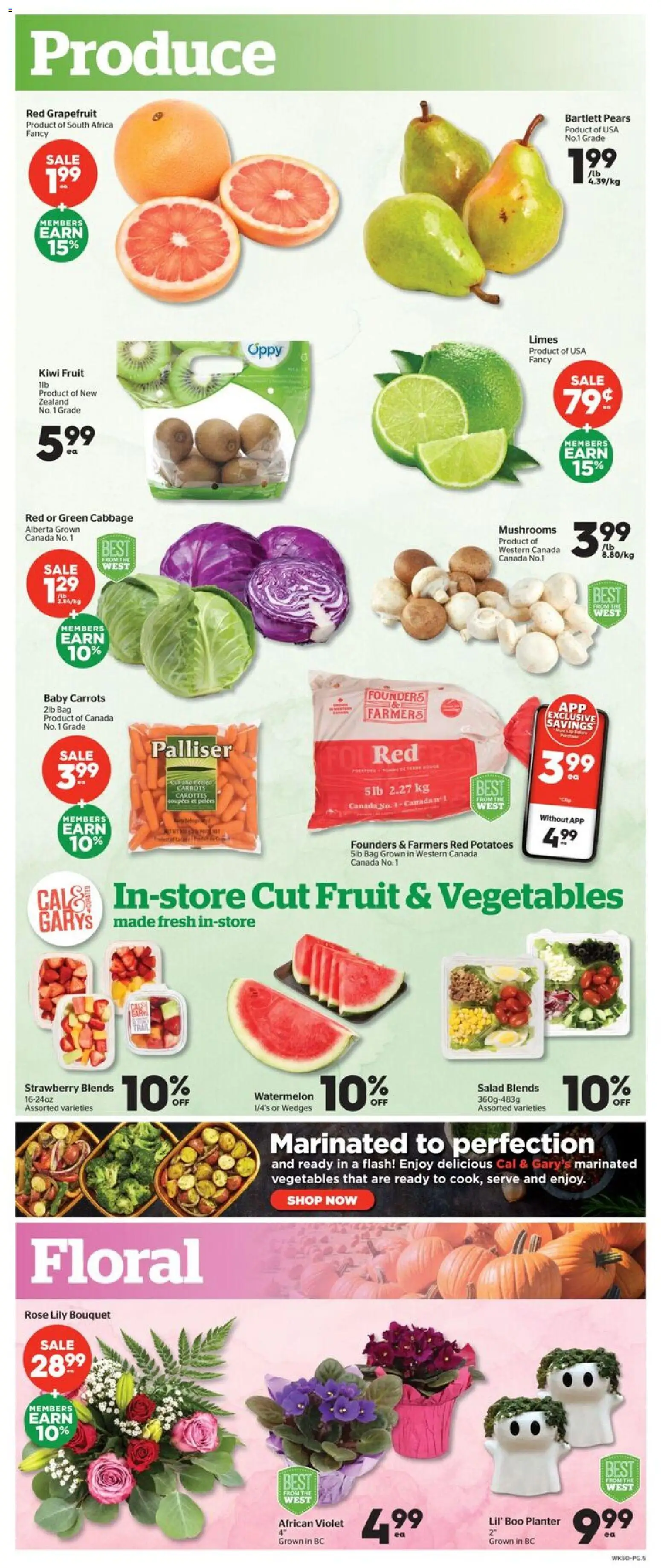 Calgary Co-op weekly flyer / circulaire Flyer in Canada