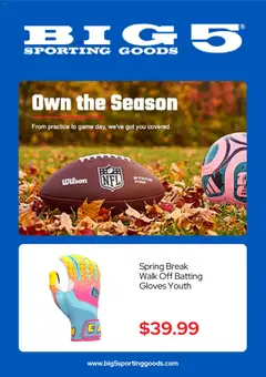 Big-5-sporting-goods Big 5 Sporting Goods Weekly Ad