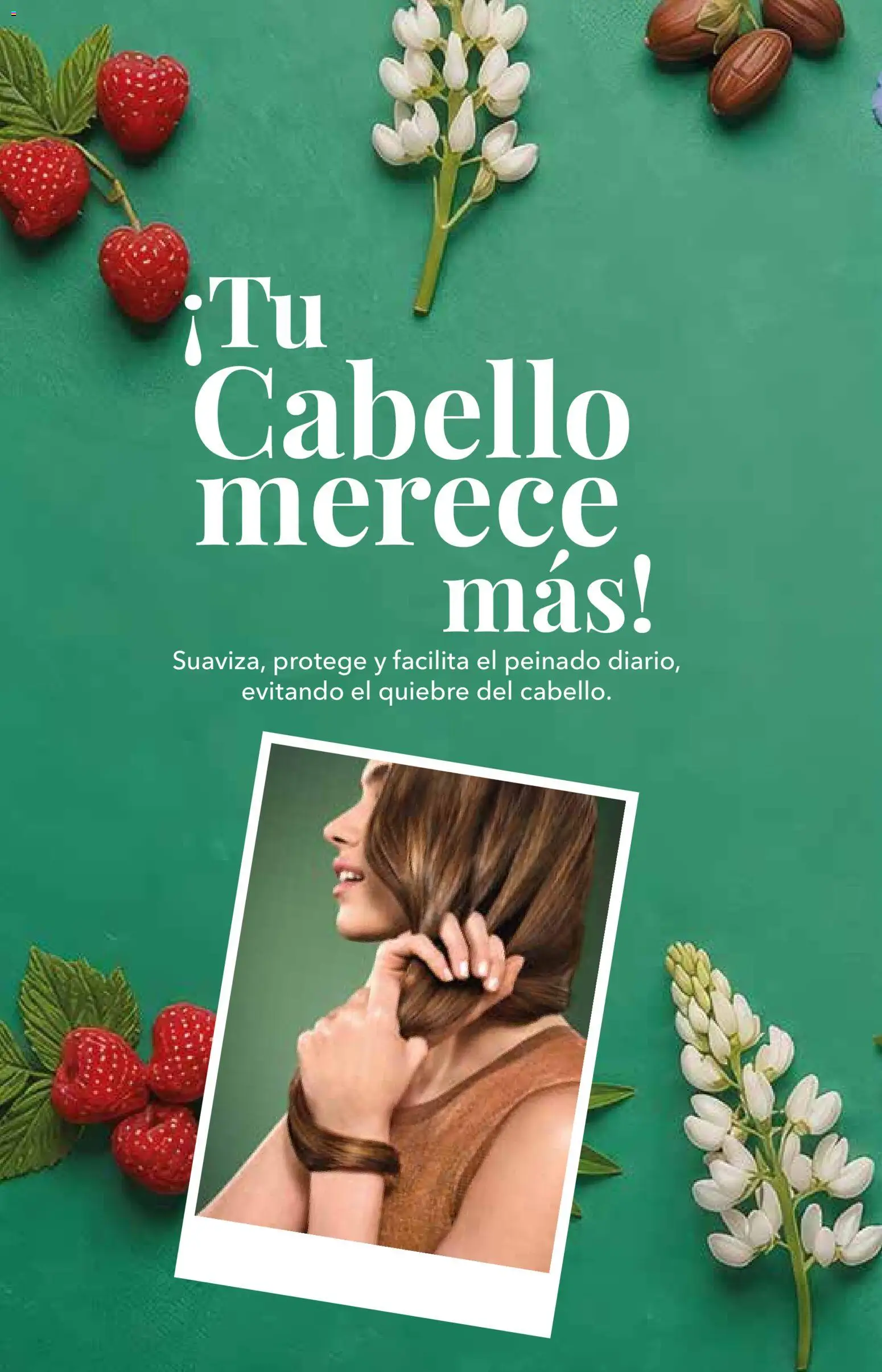 Yves Rocher campaña 14 2026 Folleto in México