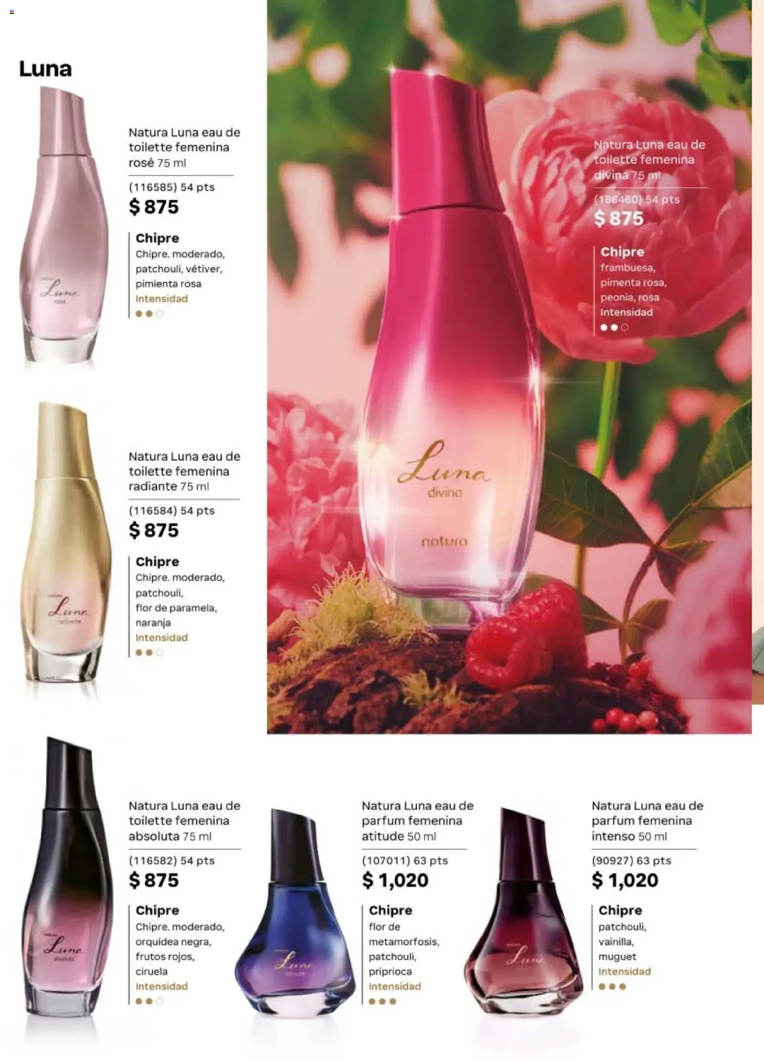 ¡El último » catálogo de Natura para Julio « está aquí! Descubre las SUPER OFERTAS. | México
