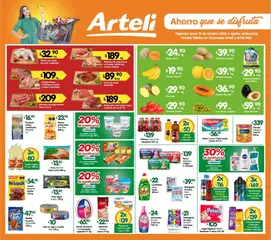 Arteli Arteli folleto
