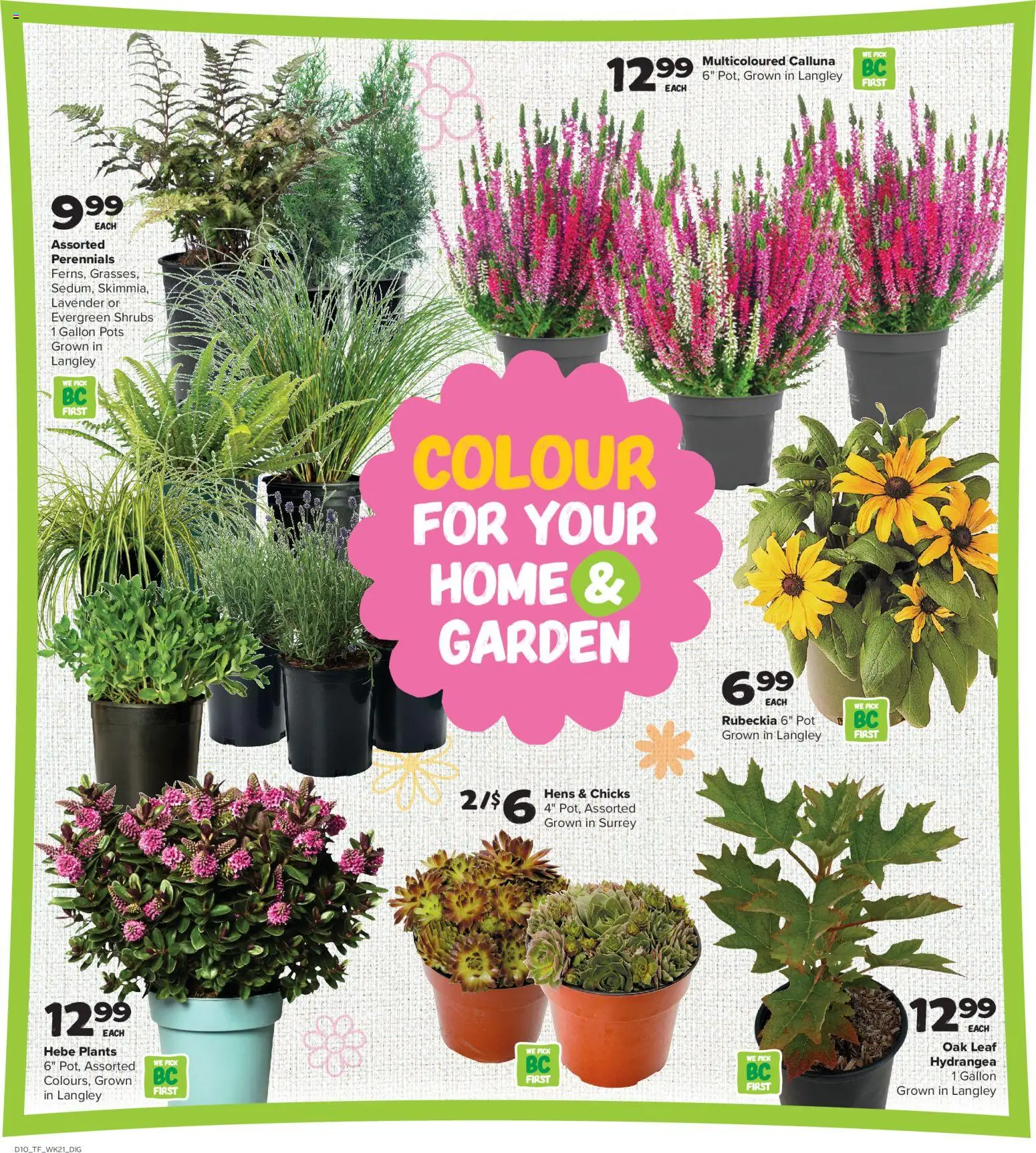Thrifty Foods weekly flyer / circulaire Flyer in Canada