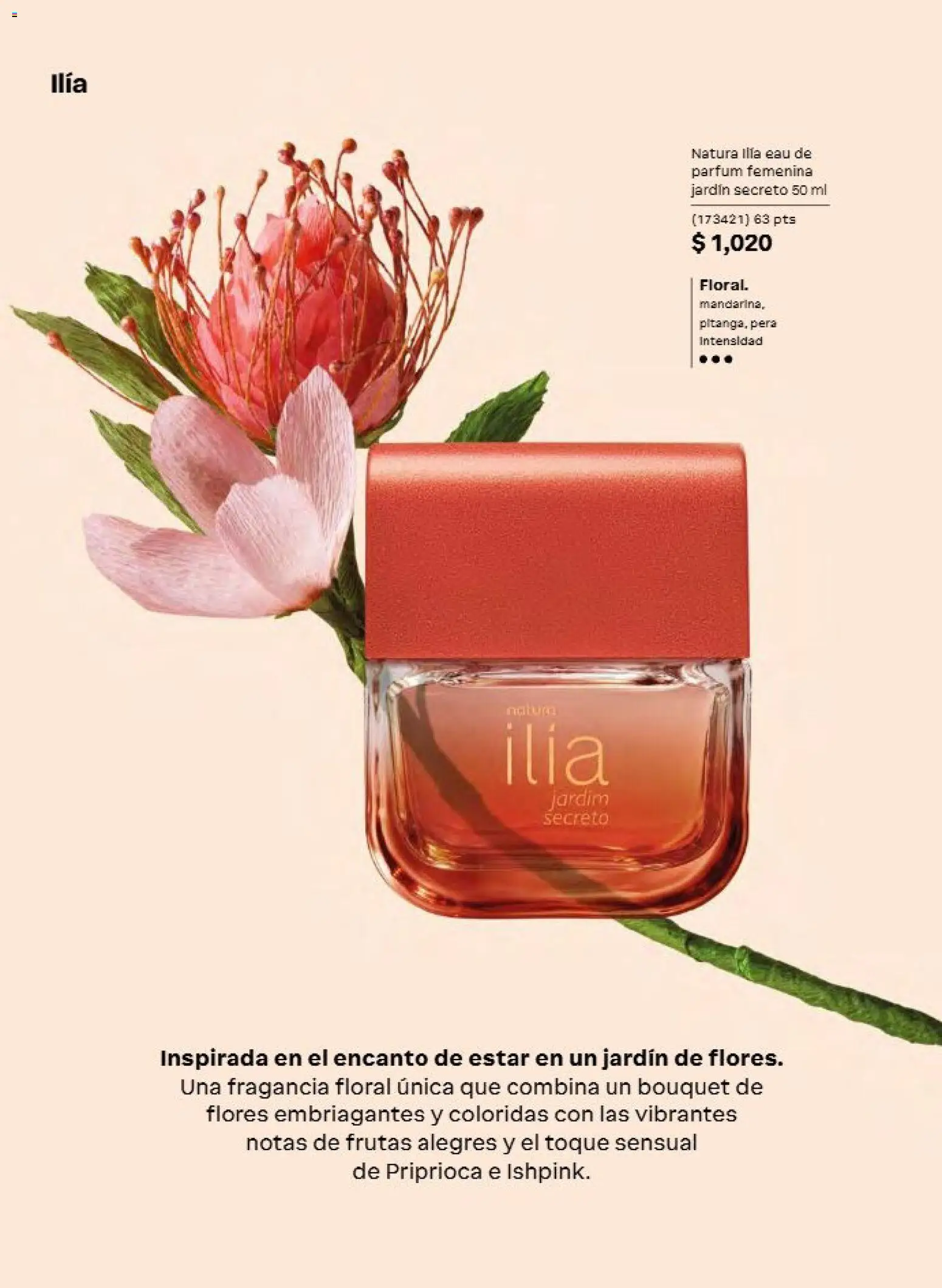 Natura campaña 14 2026 Folleto in México