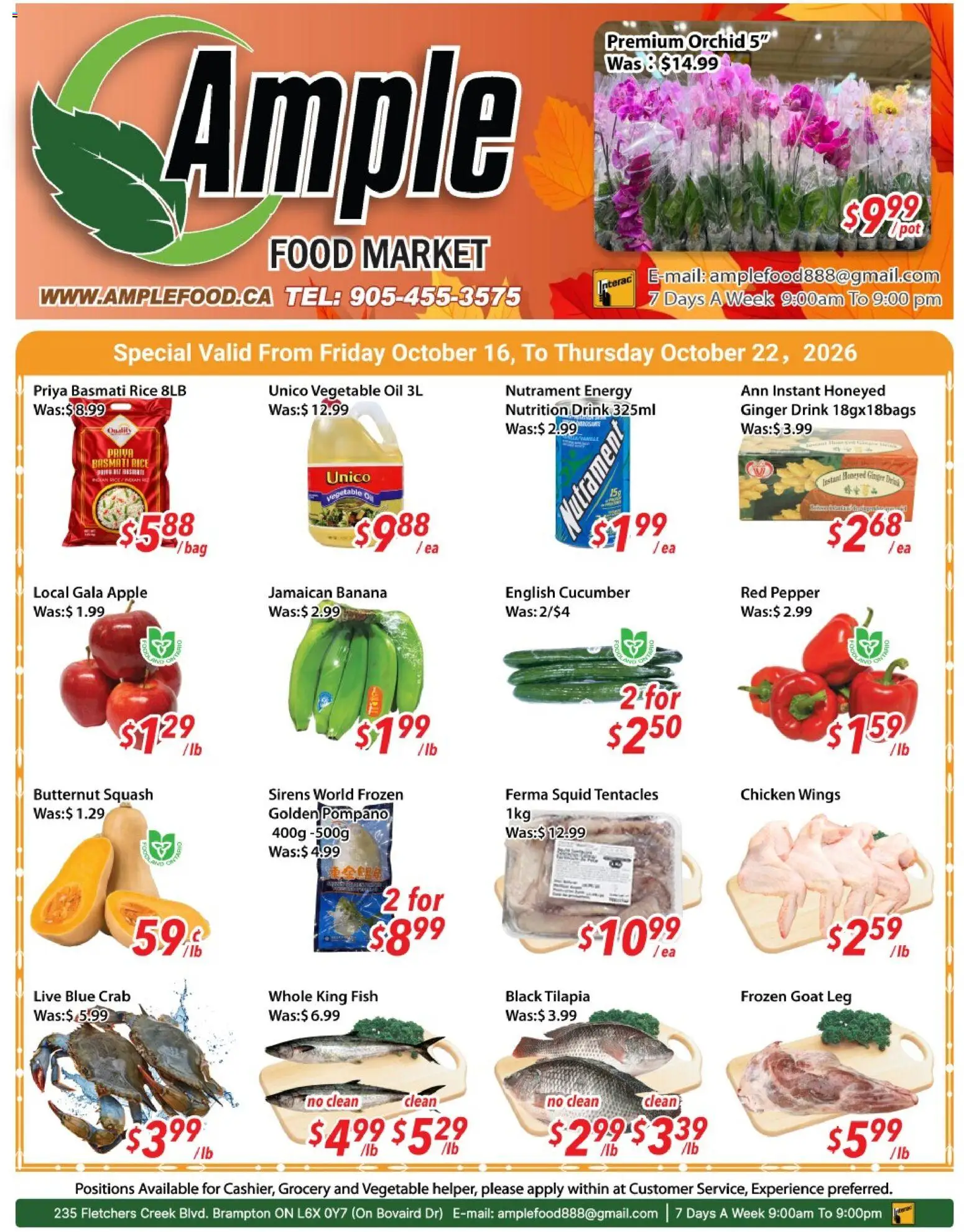 Ample Food Market weekly flyer / circulaire Flyer in Canada