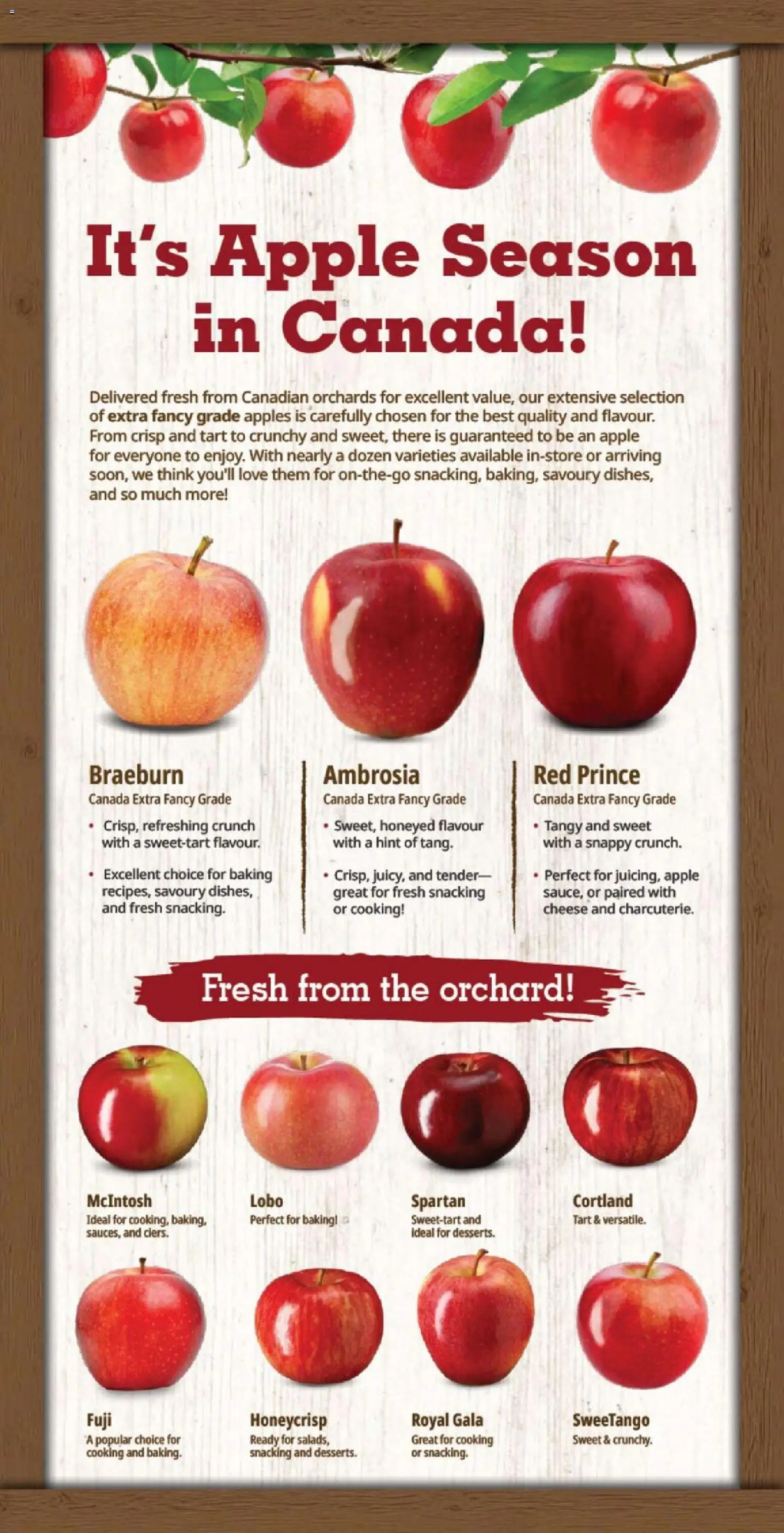 Farm Boy weekly flyer / circulaire Flyer in Canada