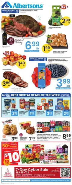 Albertsons Albertsons Weekly Ad