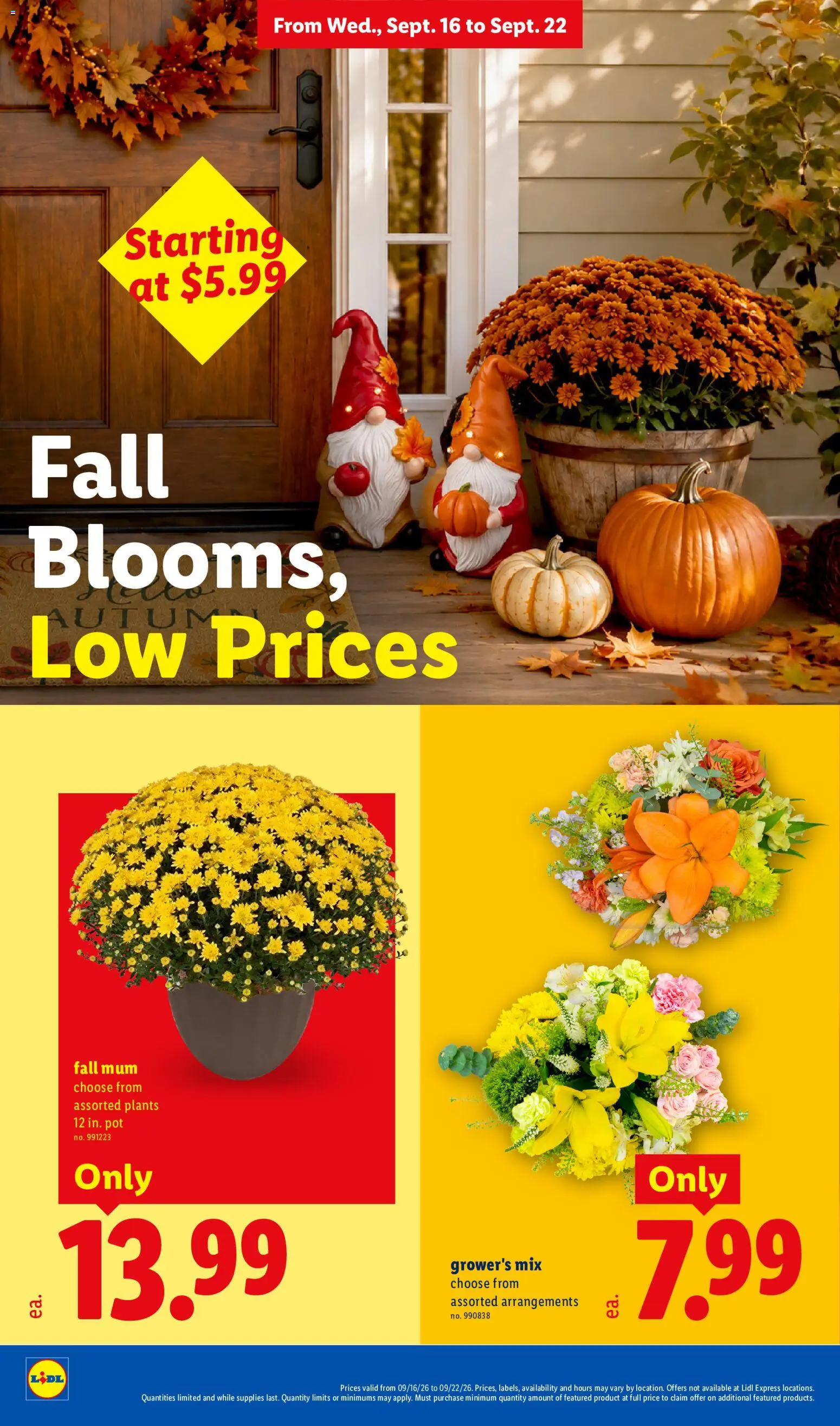 Lidl Weekly Ad Weekly Ad in United States