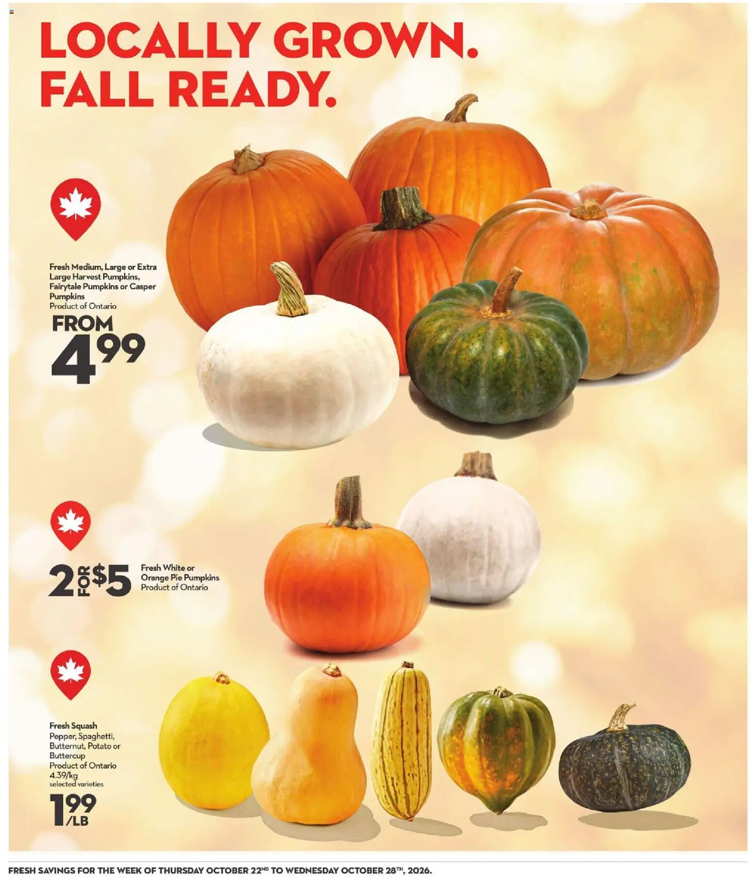 Longo`s weekly flyer / circulaire Flyer in Canada