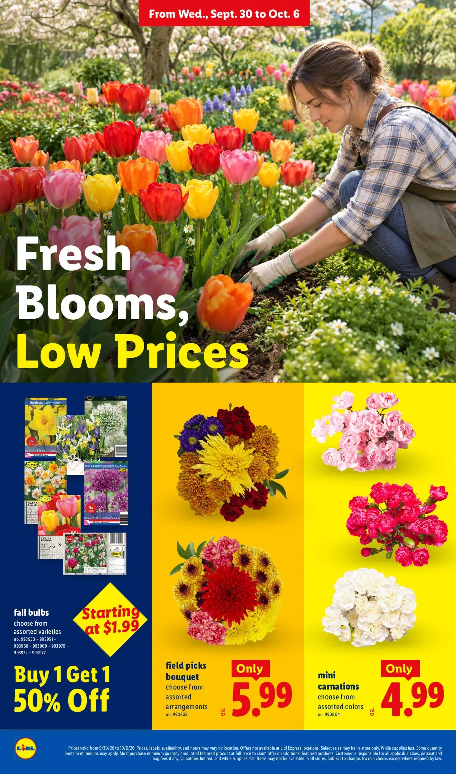Lidl Weekly Ad Weekly Ad in United States