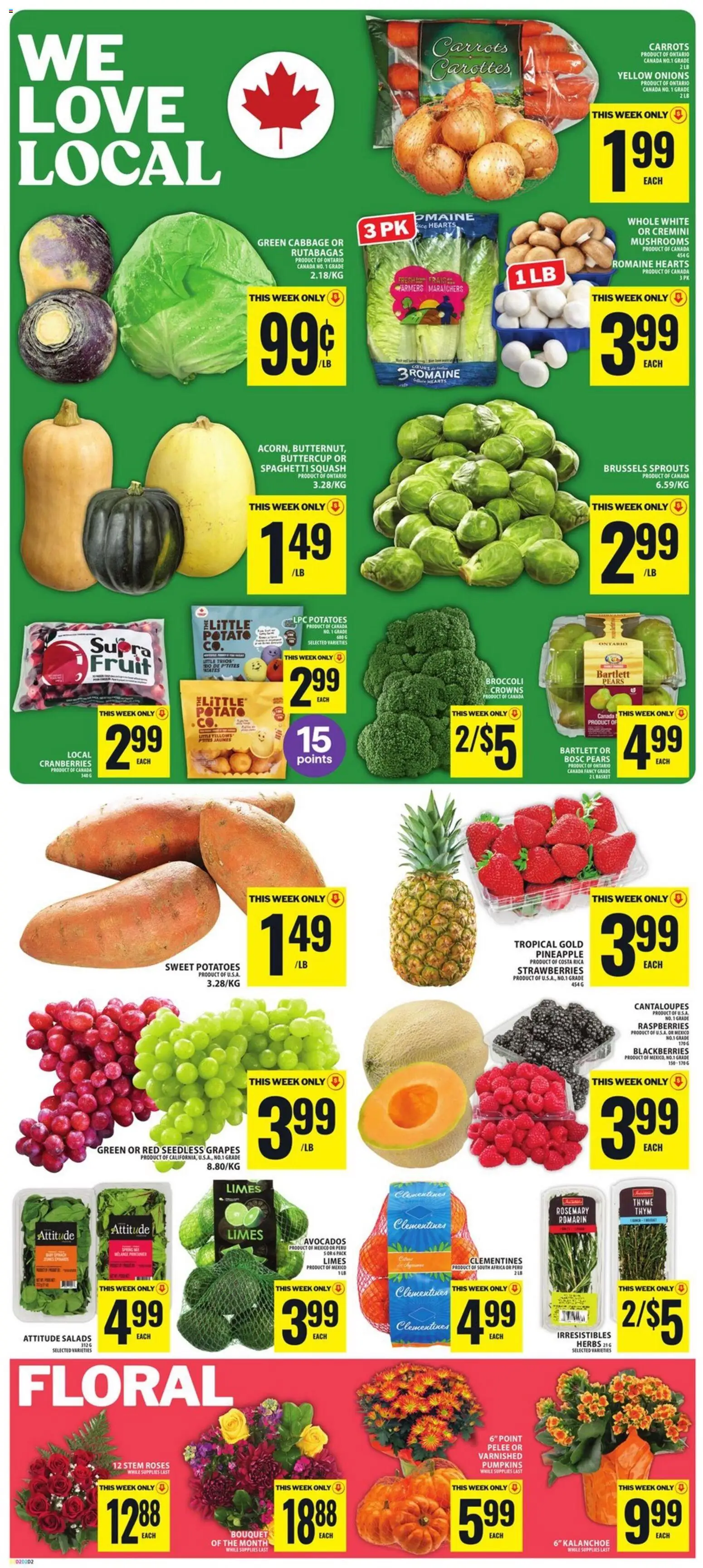 Food Basics weekly flyer / circulaire Flyer in Canada