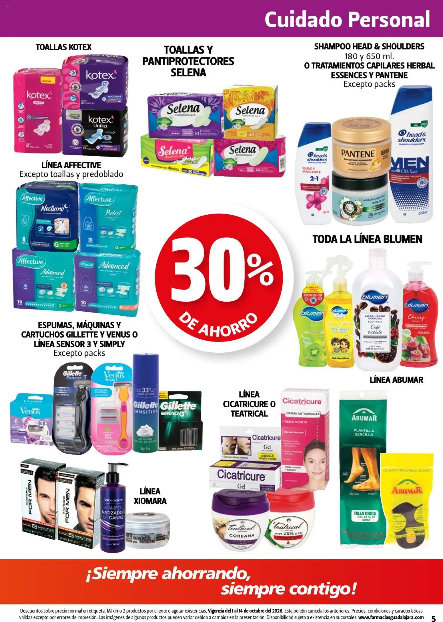 Farmacia Guadalajara catálogo Folleto in México