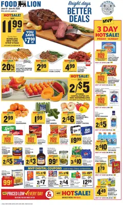 Food-lion Food Lion Weekly Ad