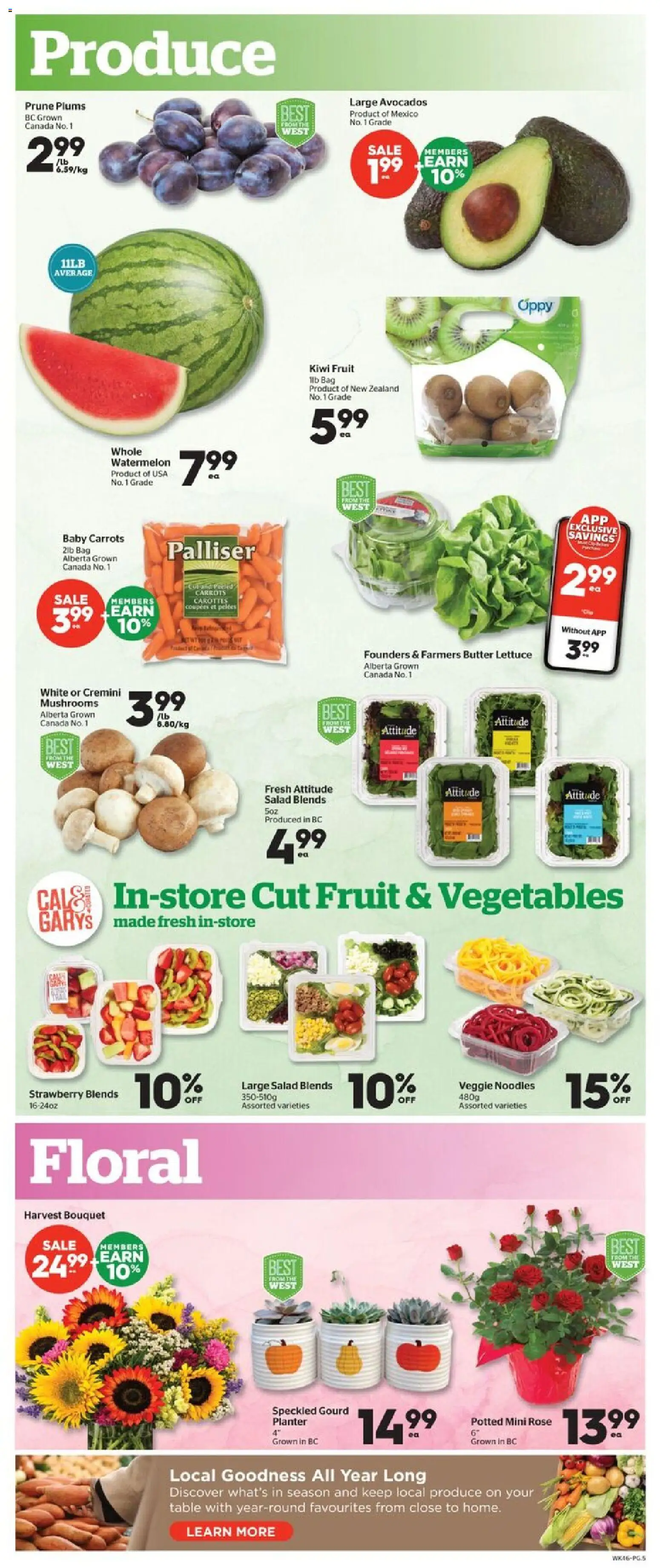 Calgary Co-op weekly flyer / circulaire Flyer in Canada