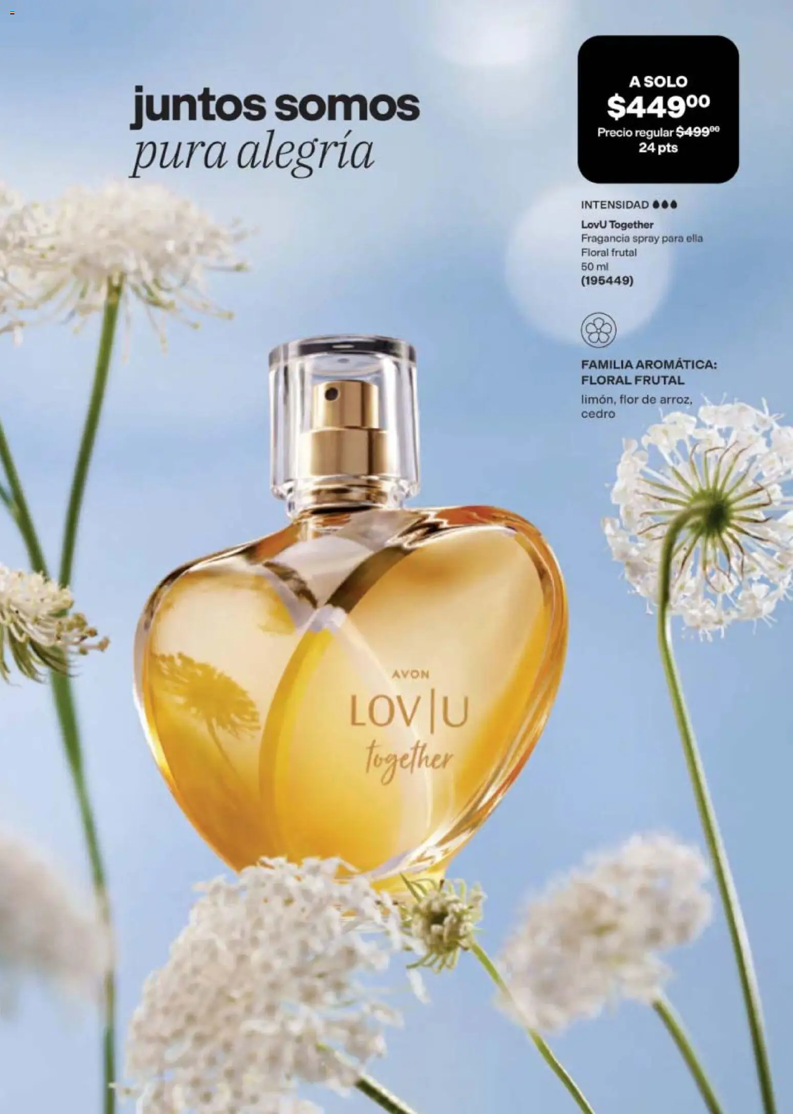 AVON campaña 16 2026 Folleto in México