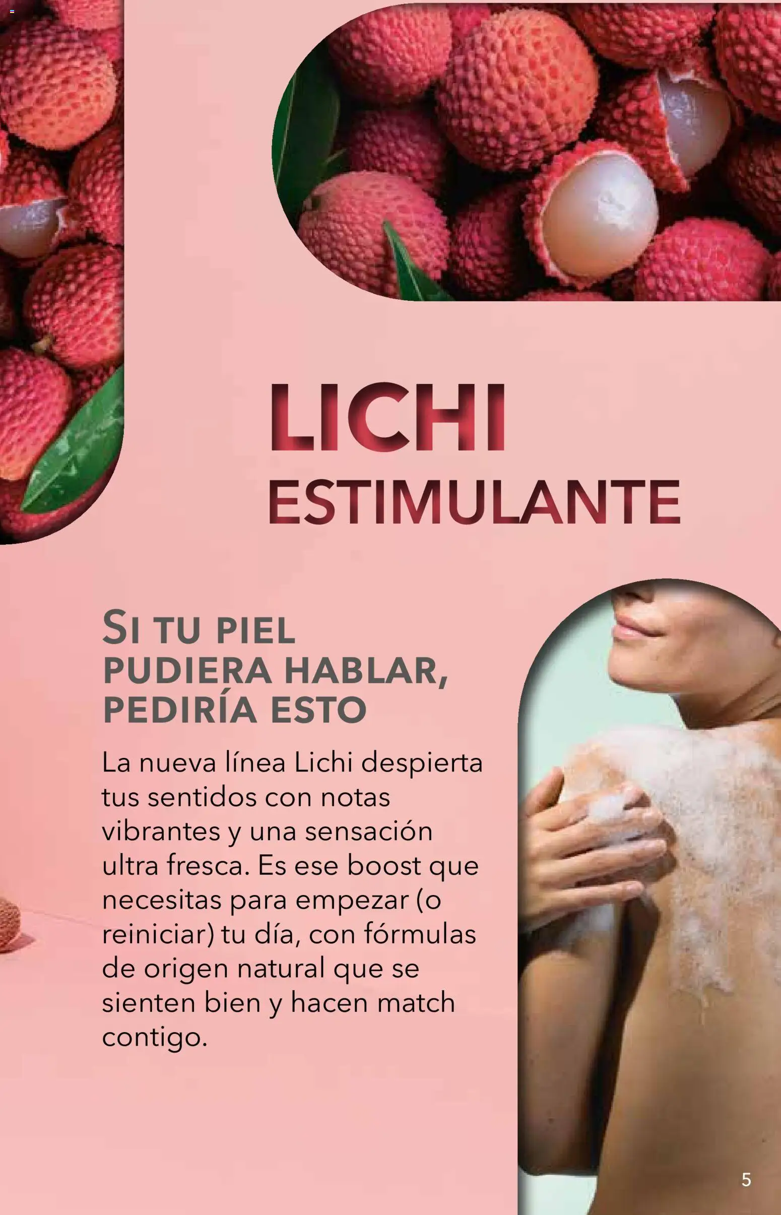 Yves Rocher campaña 14 2026 Folleto in México