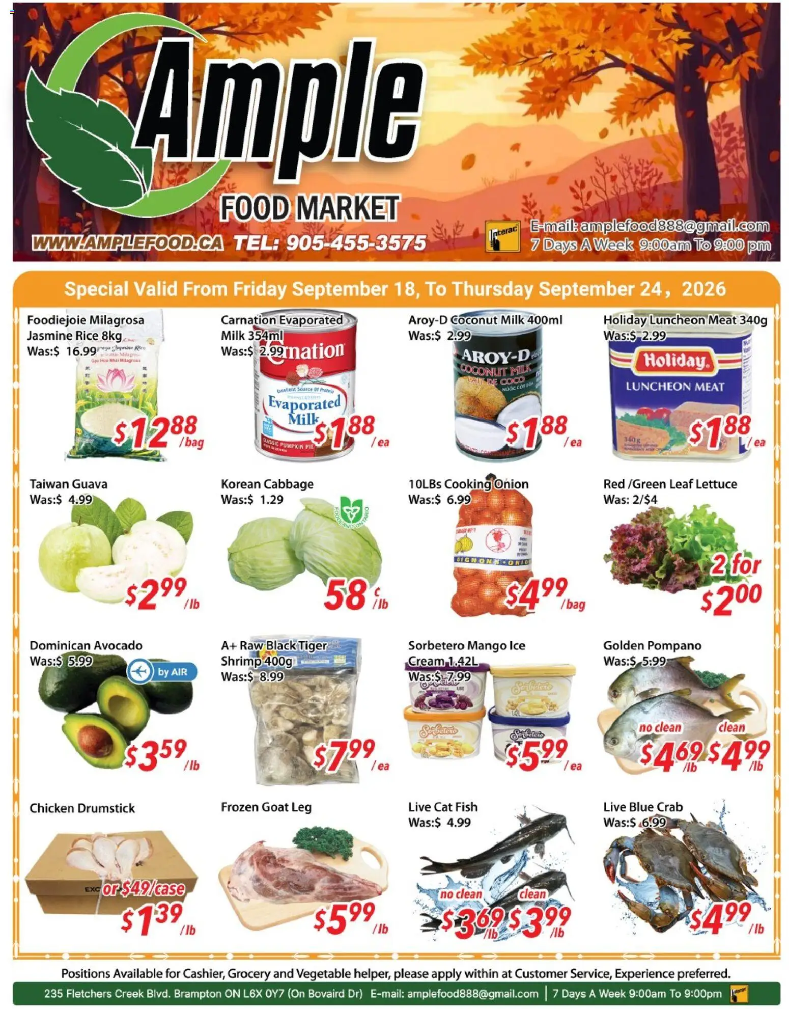 Ample Food Market weekly flyer / circulaire Flyer in Canada