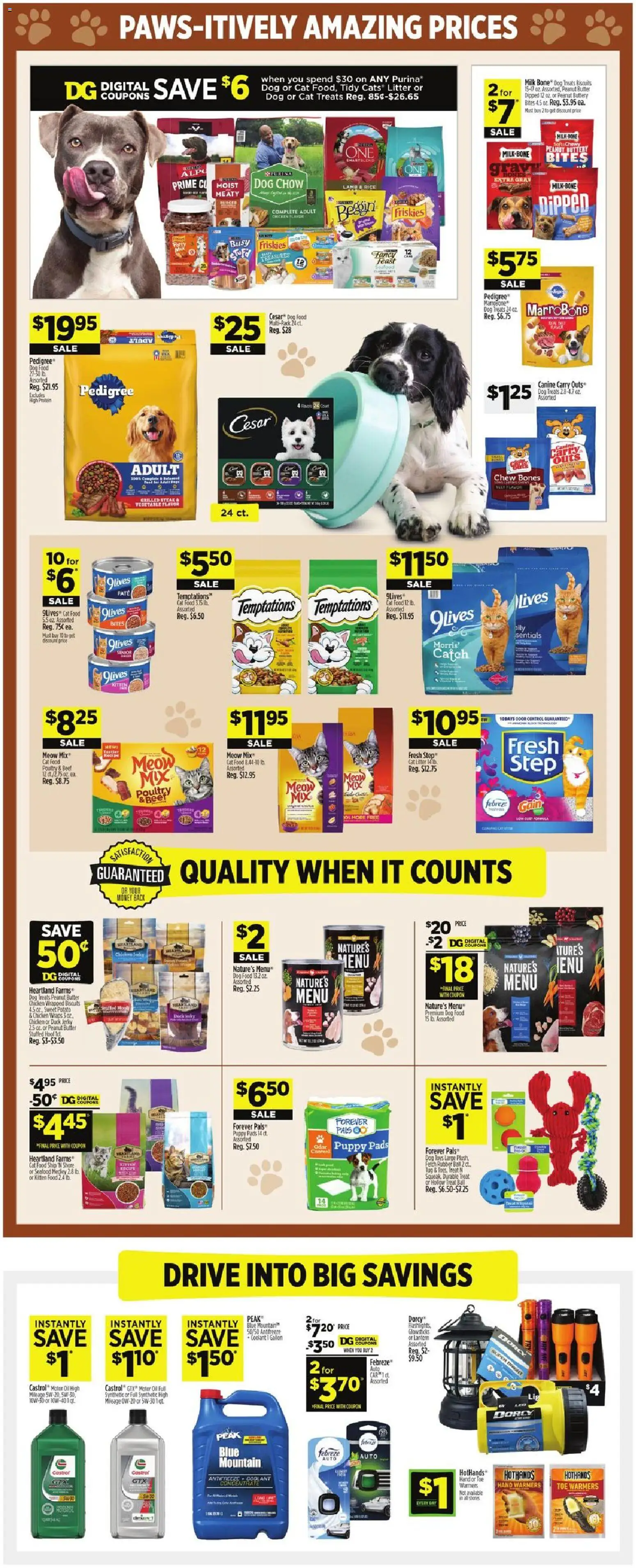 Dollar General Weekly Ad Weekly Ad in United States