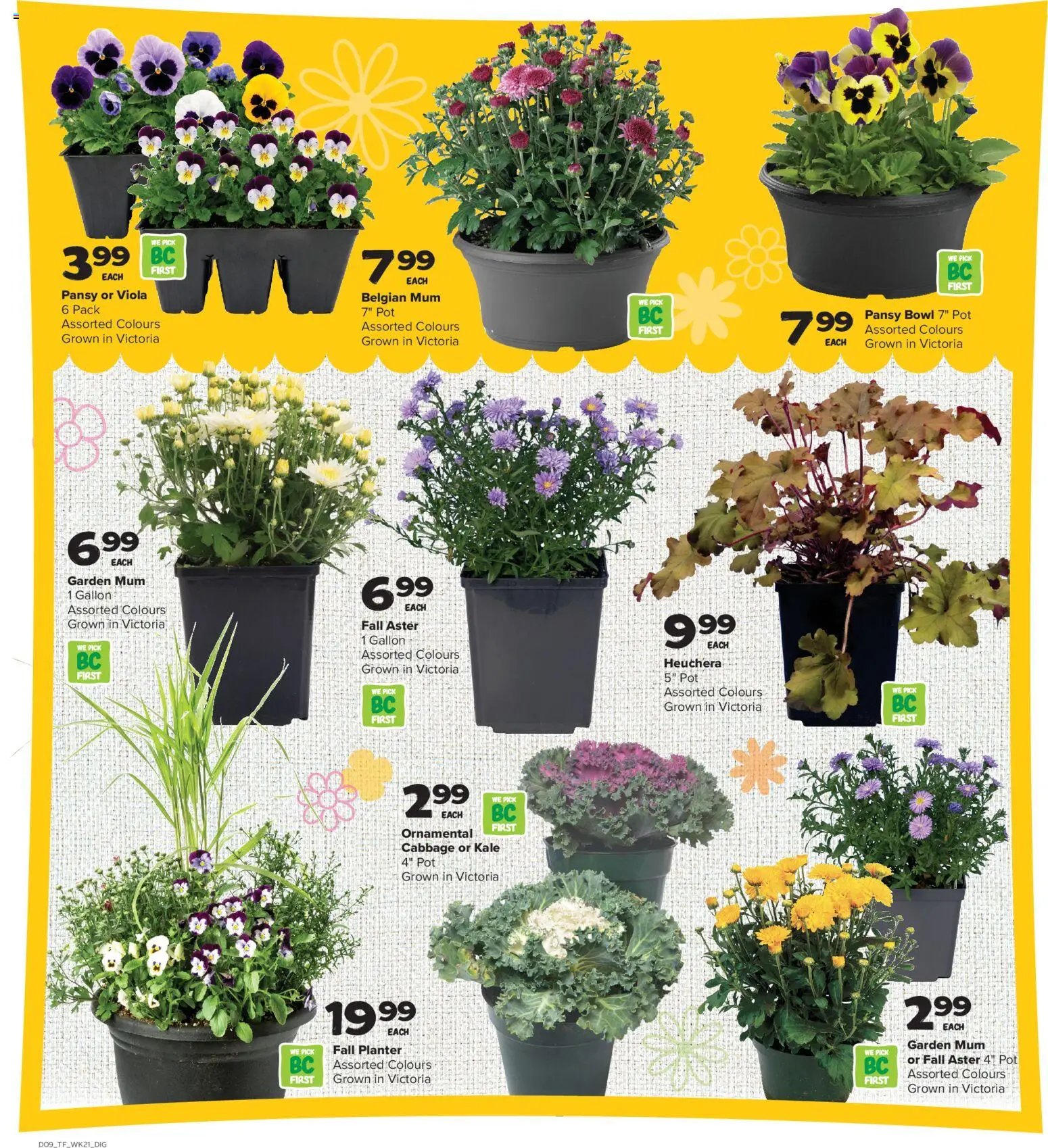 Thrifty Foods weekly flyer / circulaire Flyer in Canada