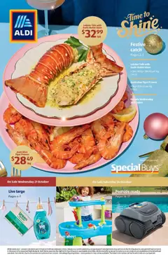 Aldi Aldi catalogue