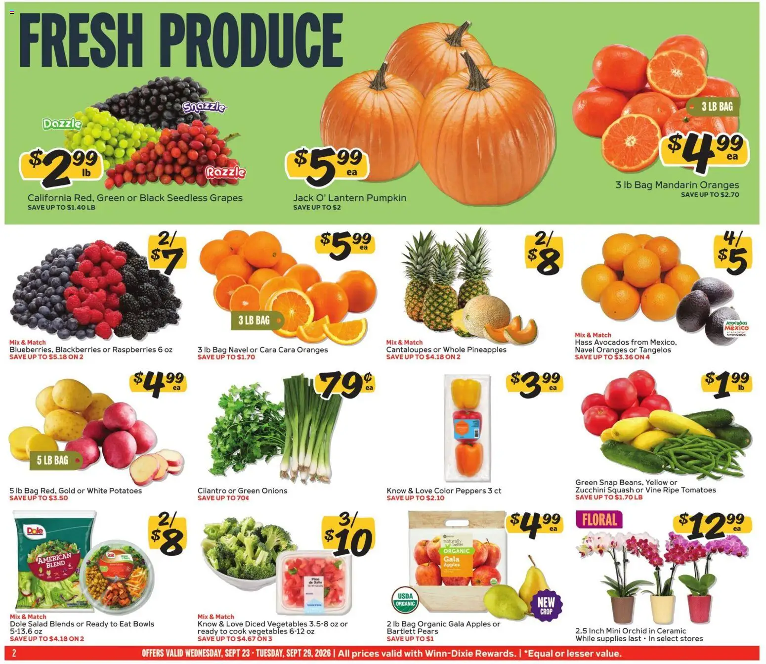 Winn Dixie Weekly Ad Weekly Ad in United States
