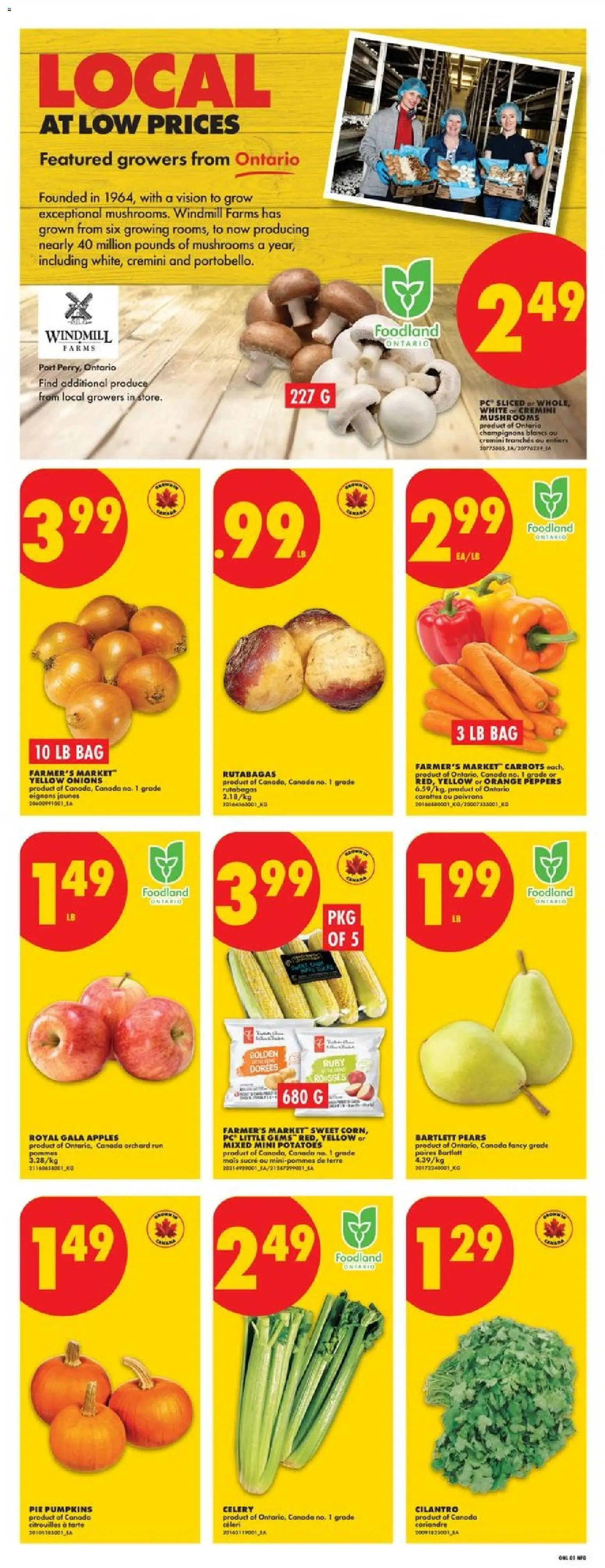 No Frills weekly flyer / circulaire Flyer in Canada