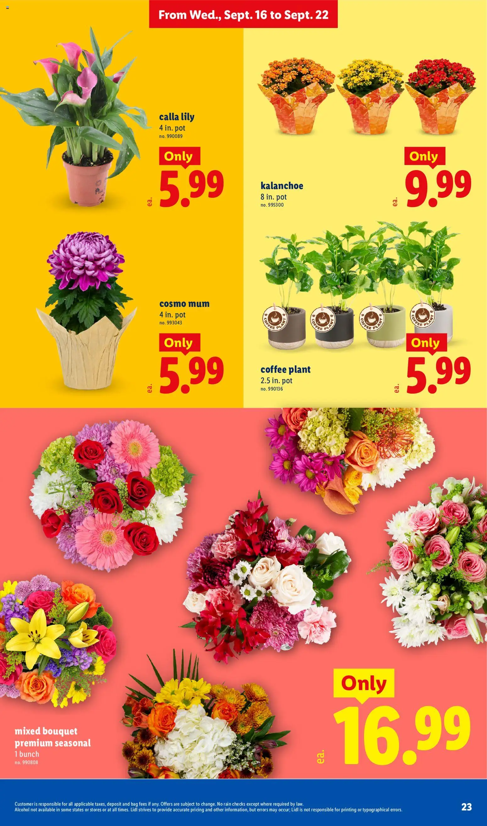 Lidl Weekly Ad Weekly Ad in United States