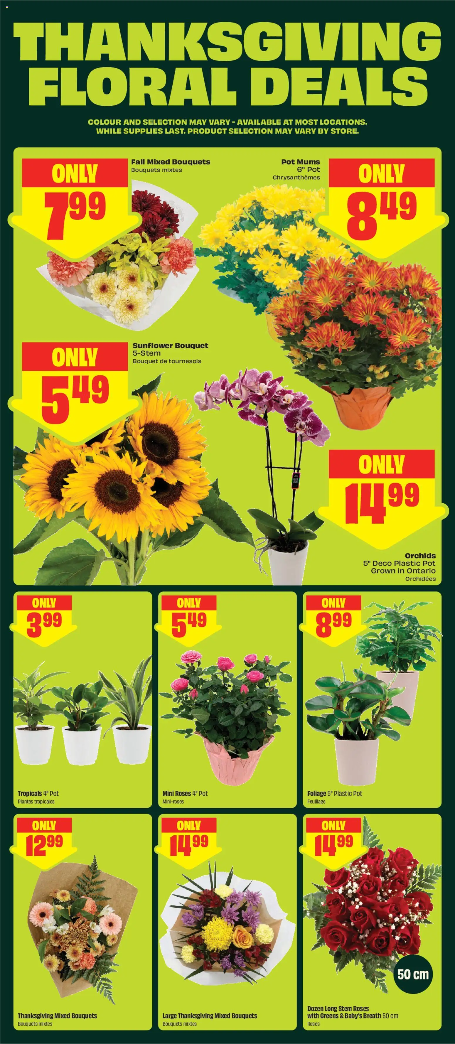 FreshCo weekly flyer / circulaire Flyer in Canada