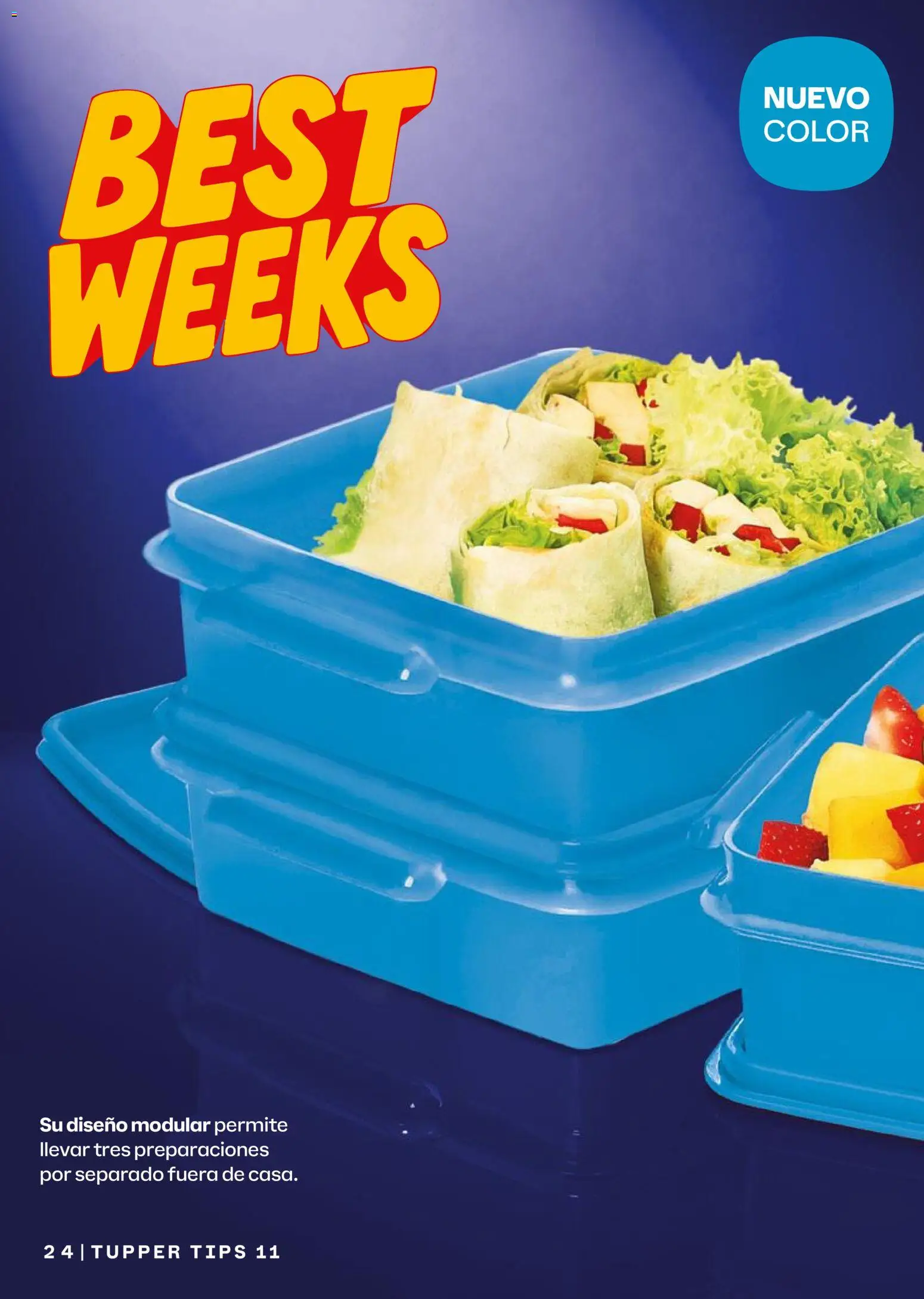 Tupperware catálogo Folleto in México