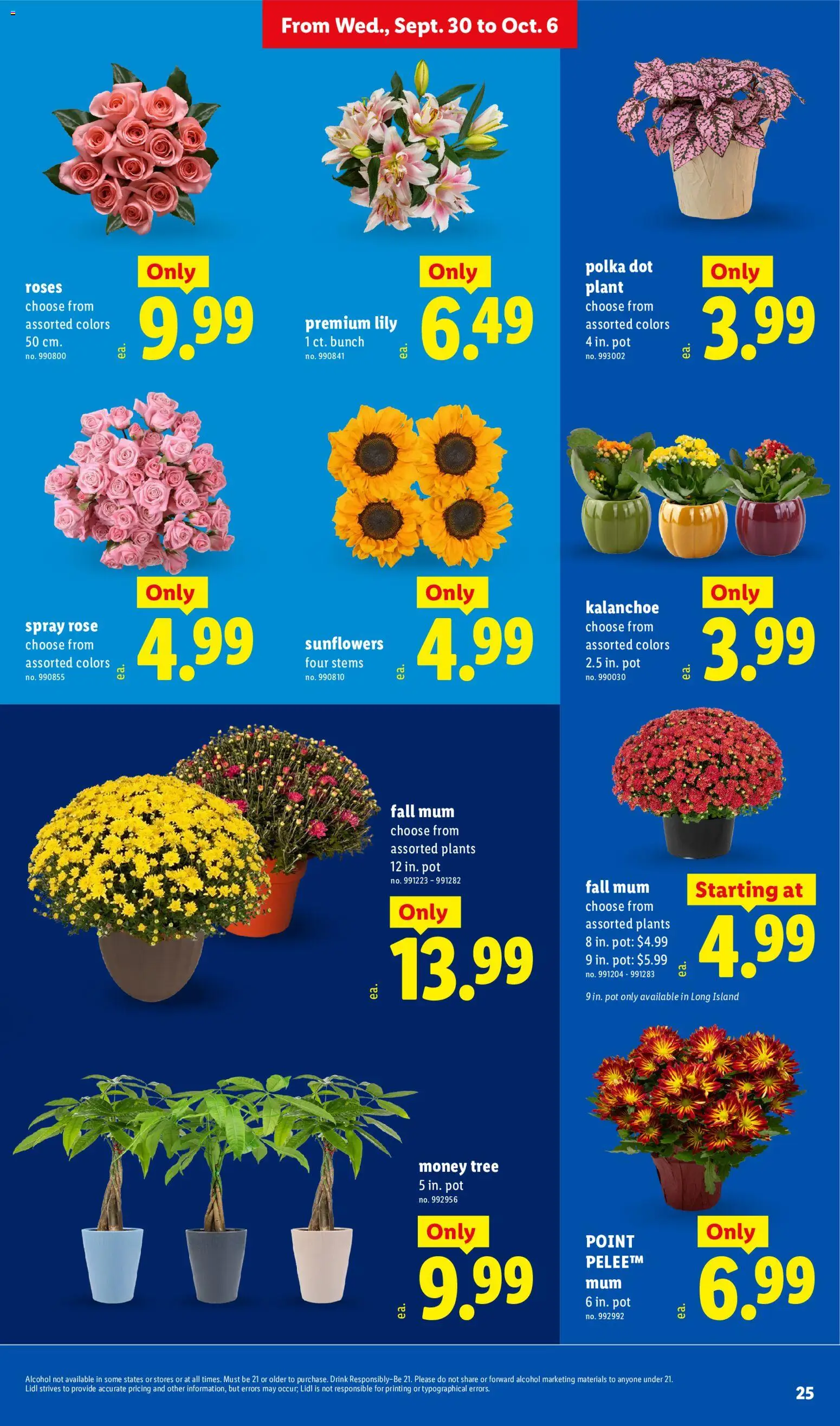Lidl Weekly Ad Weekly Ad in United States