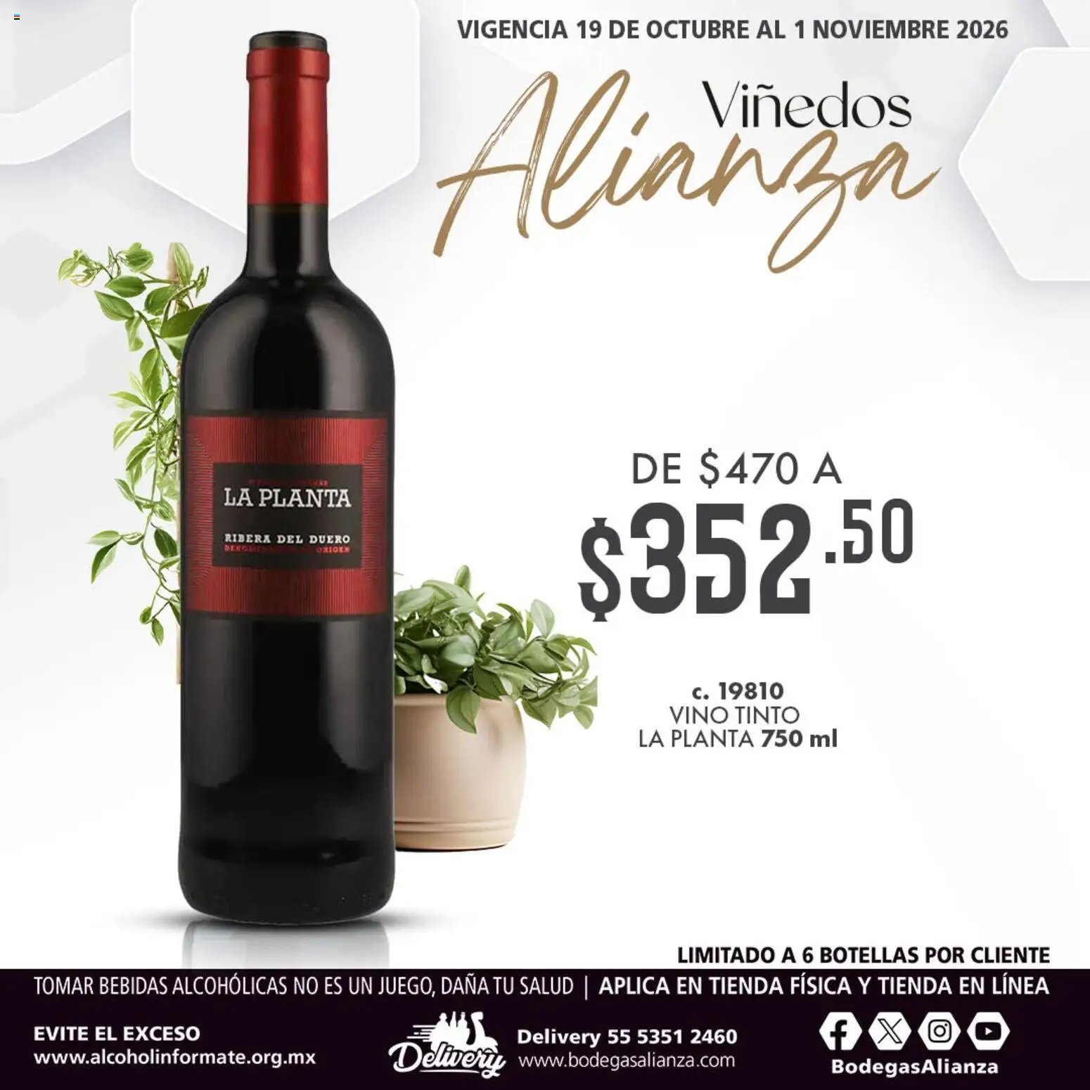 Bodegas Alianza catálogo Viñedos Alianza Folleto in México